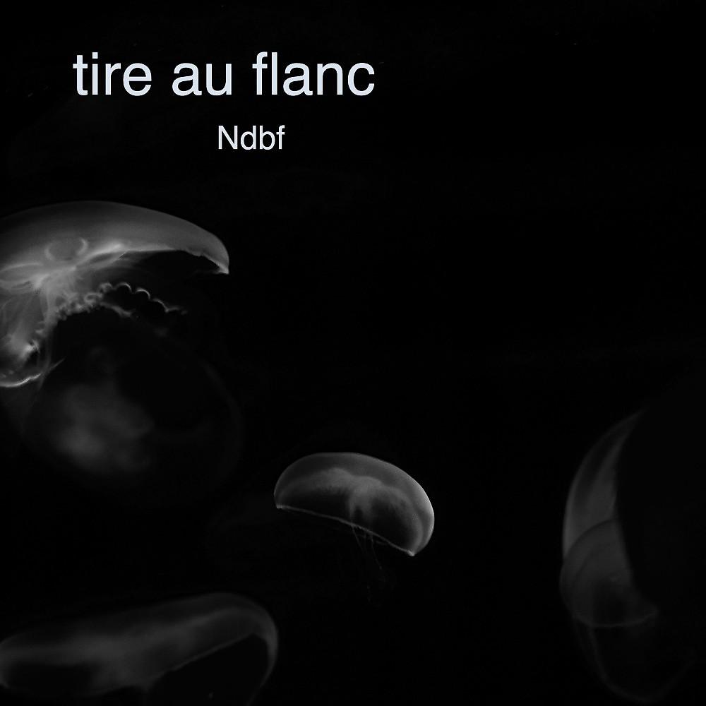 Постер альбома Tire au flanc