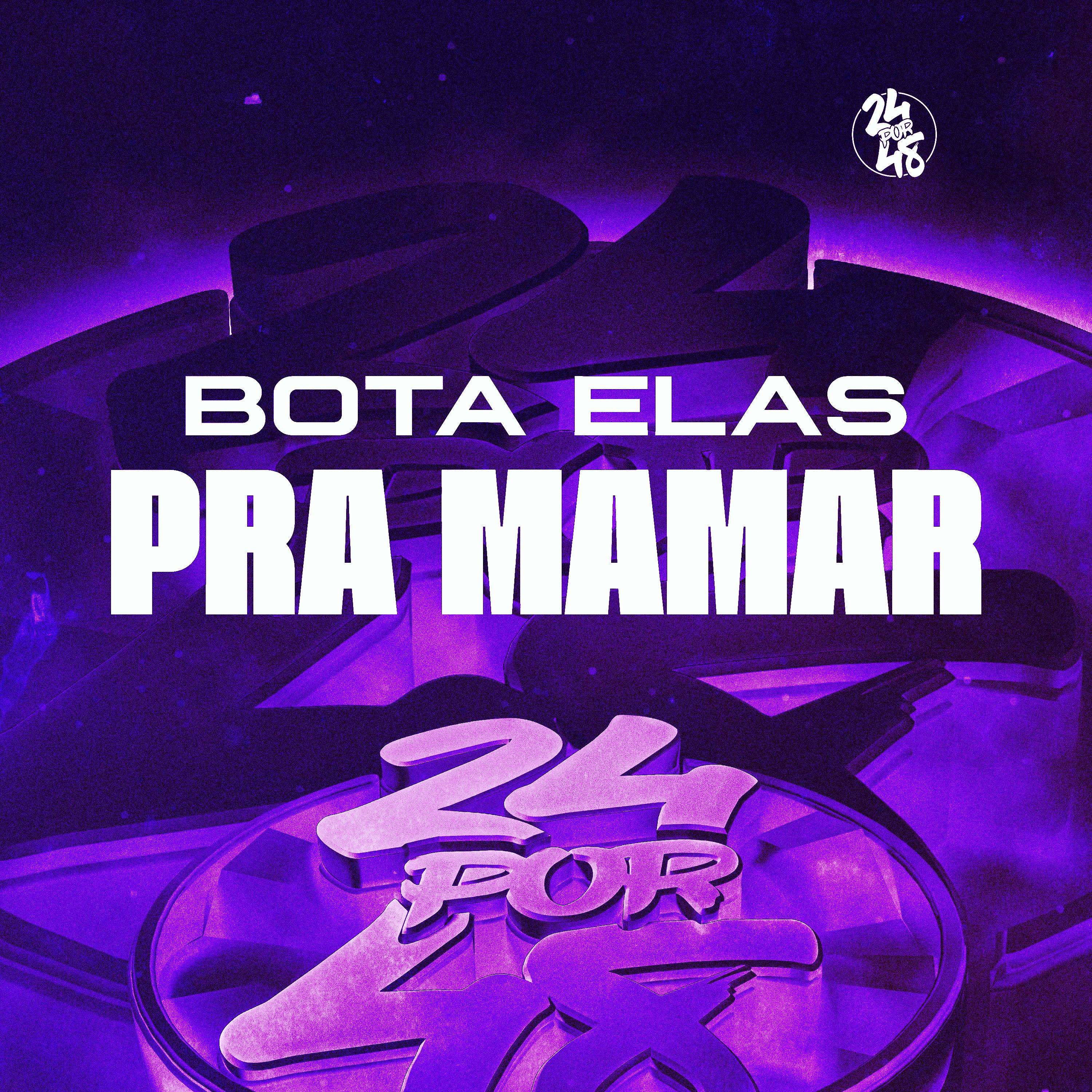 Постер альбома Bota Elas pra Mamar