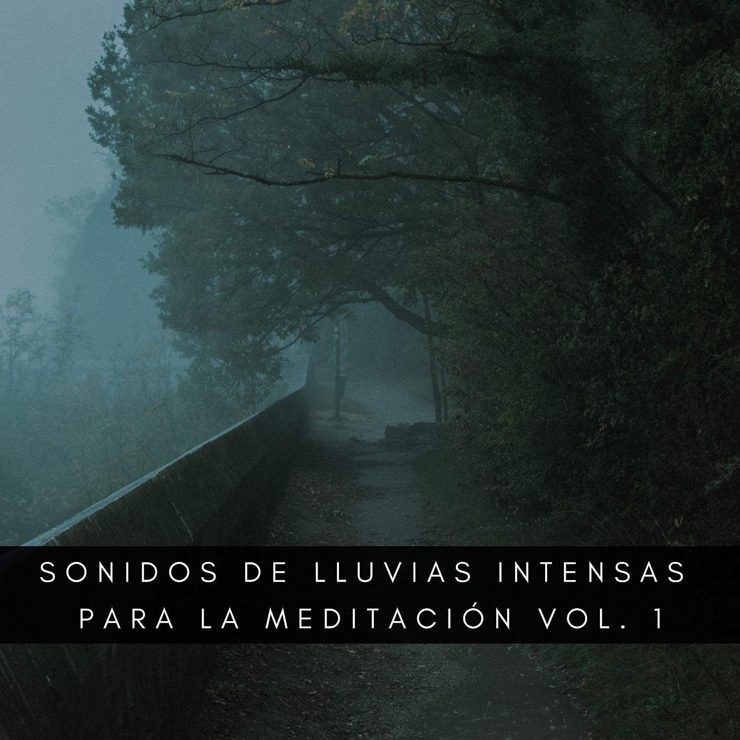 Постер альбома Sonidos De Lluvias Intensas Para La Meditación Vol. 1