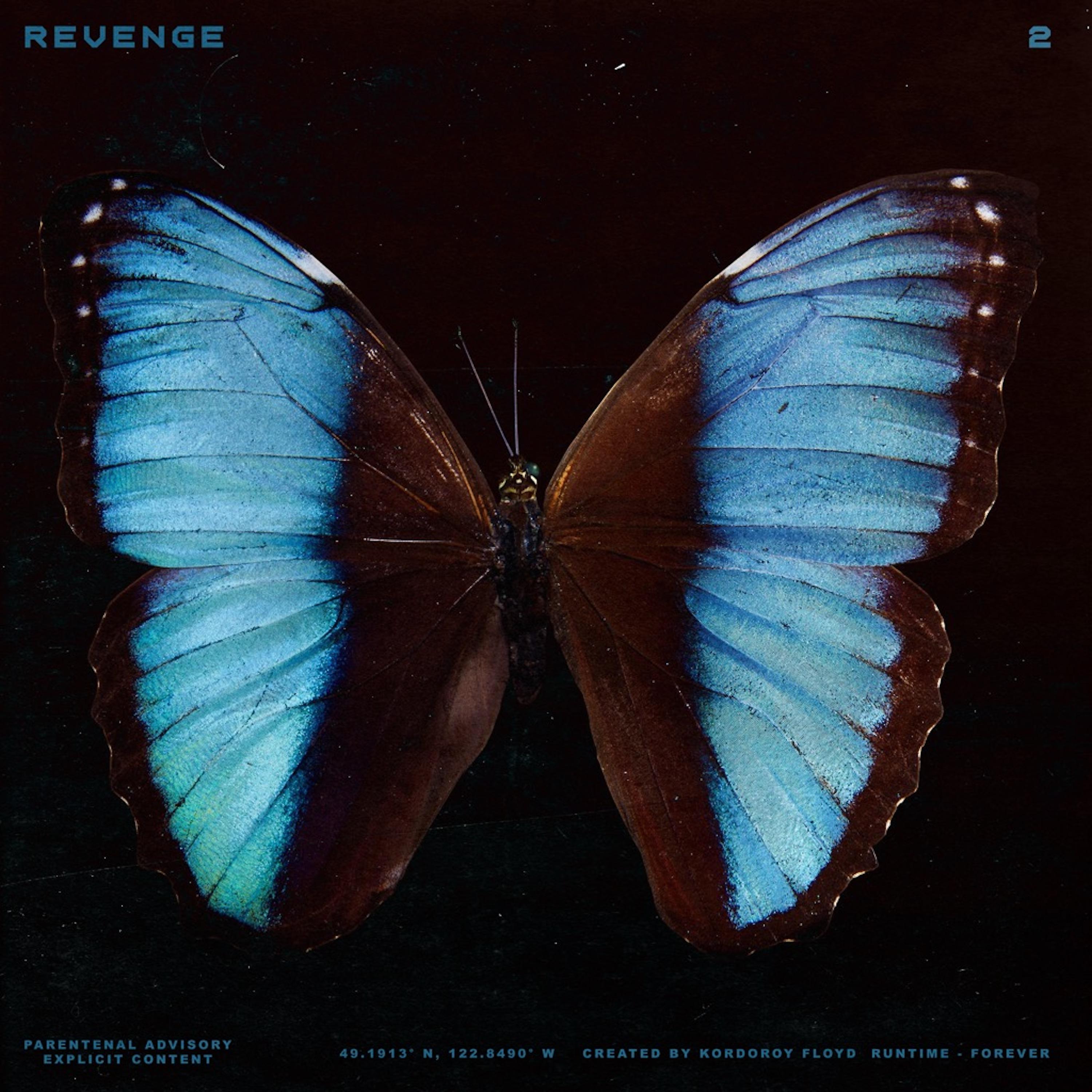 Постер альбома Revenge 2