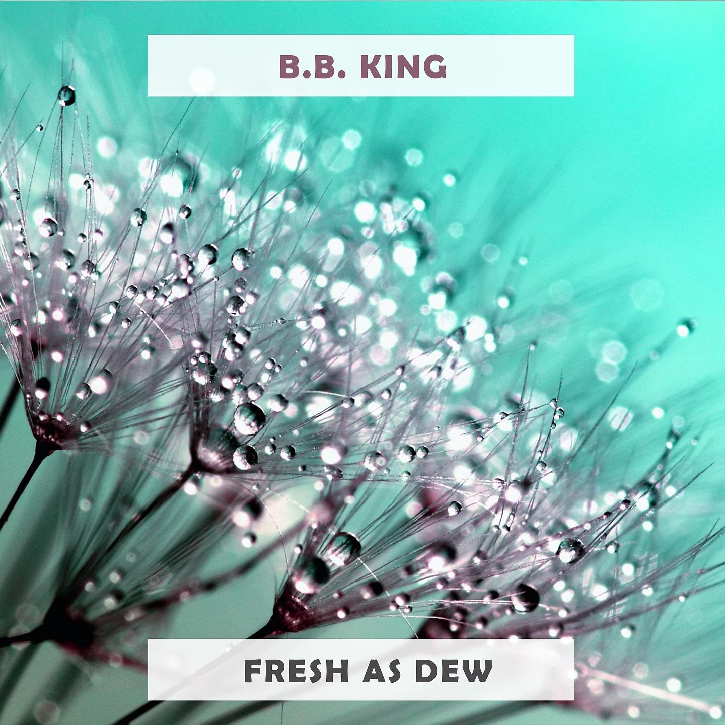 Постер альбома Fresh As Dew
