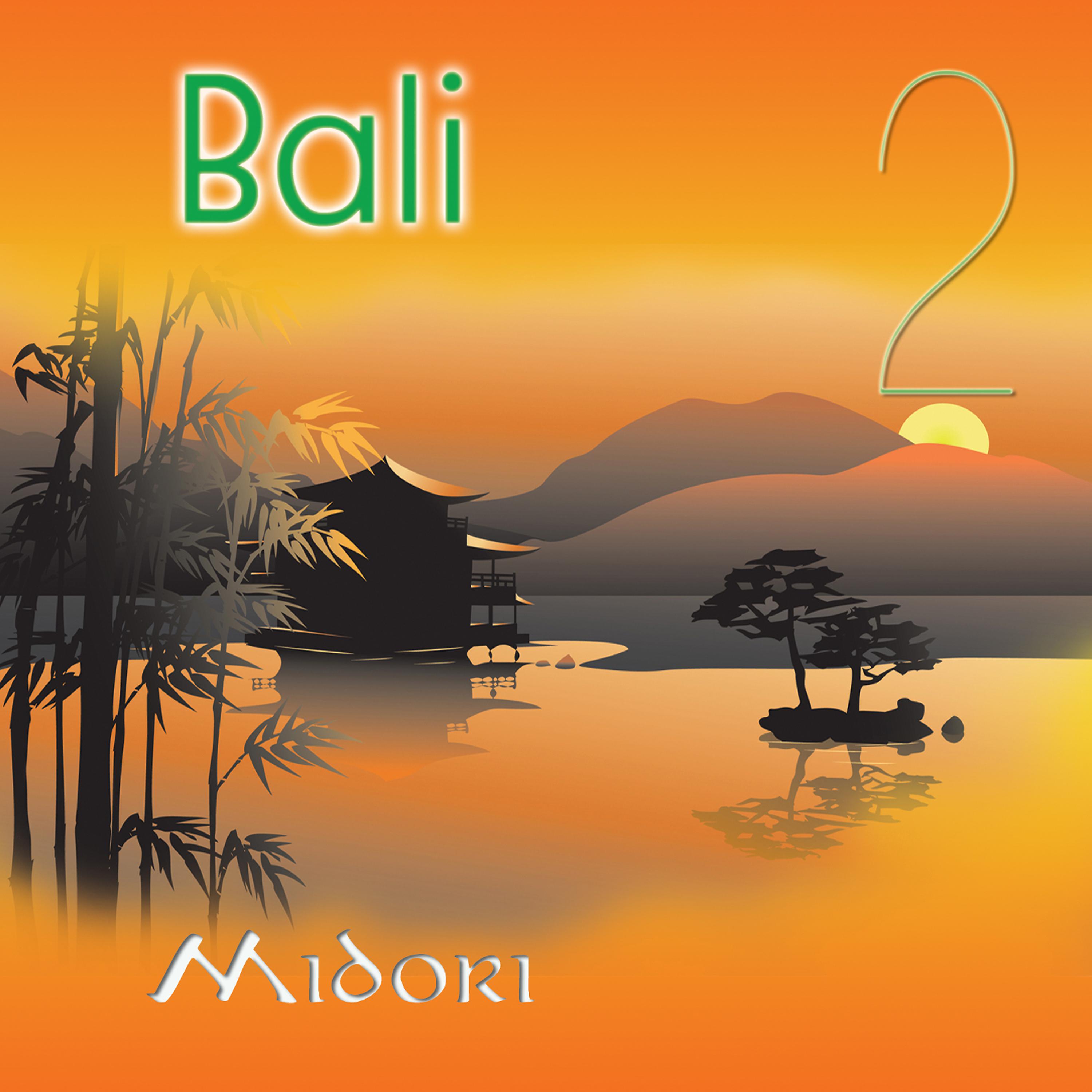 Постер альбома Bali 2