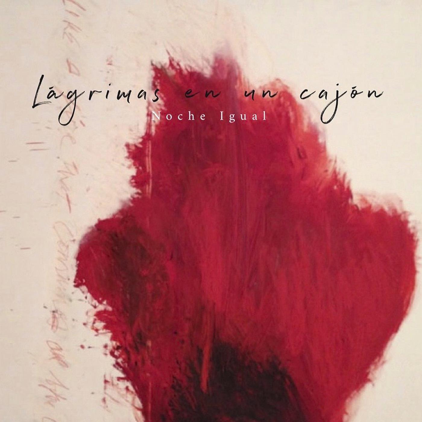 Постер альбома Lagrimas En Un Cajon