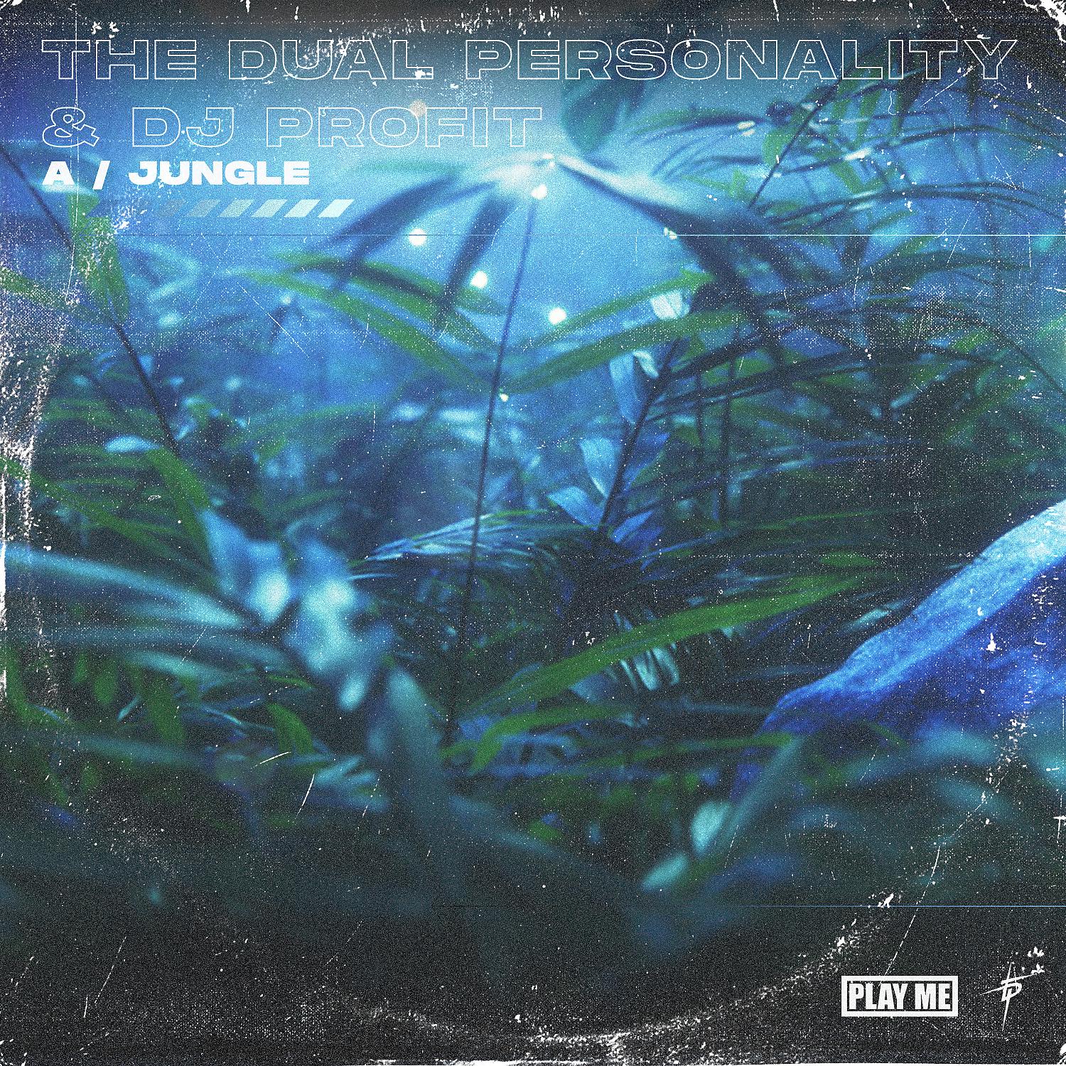 Постер альбома A / Jungle