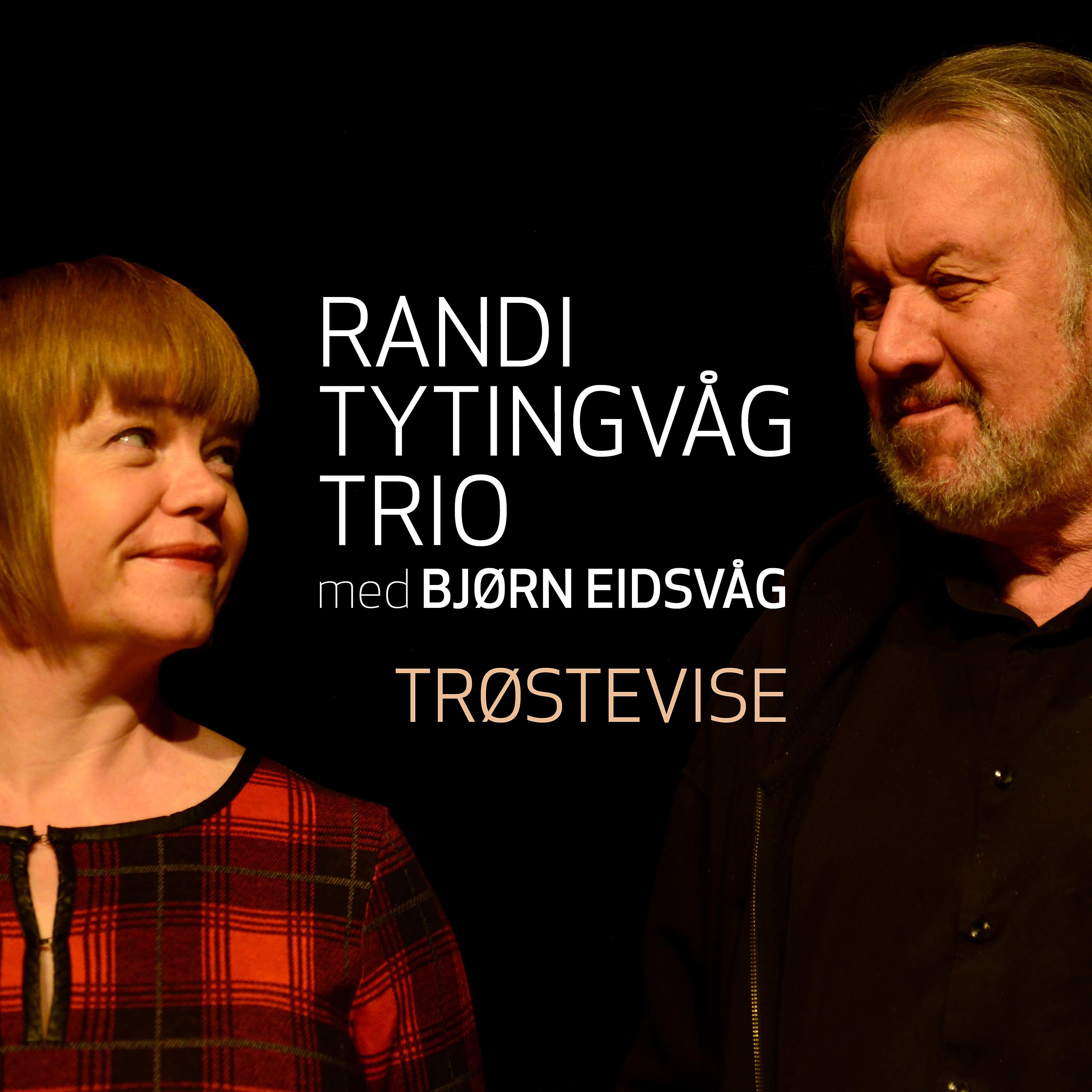 Постер альбома Trøstevise