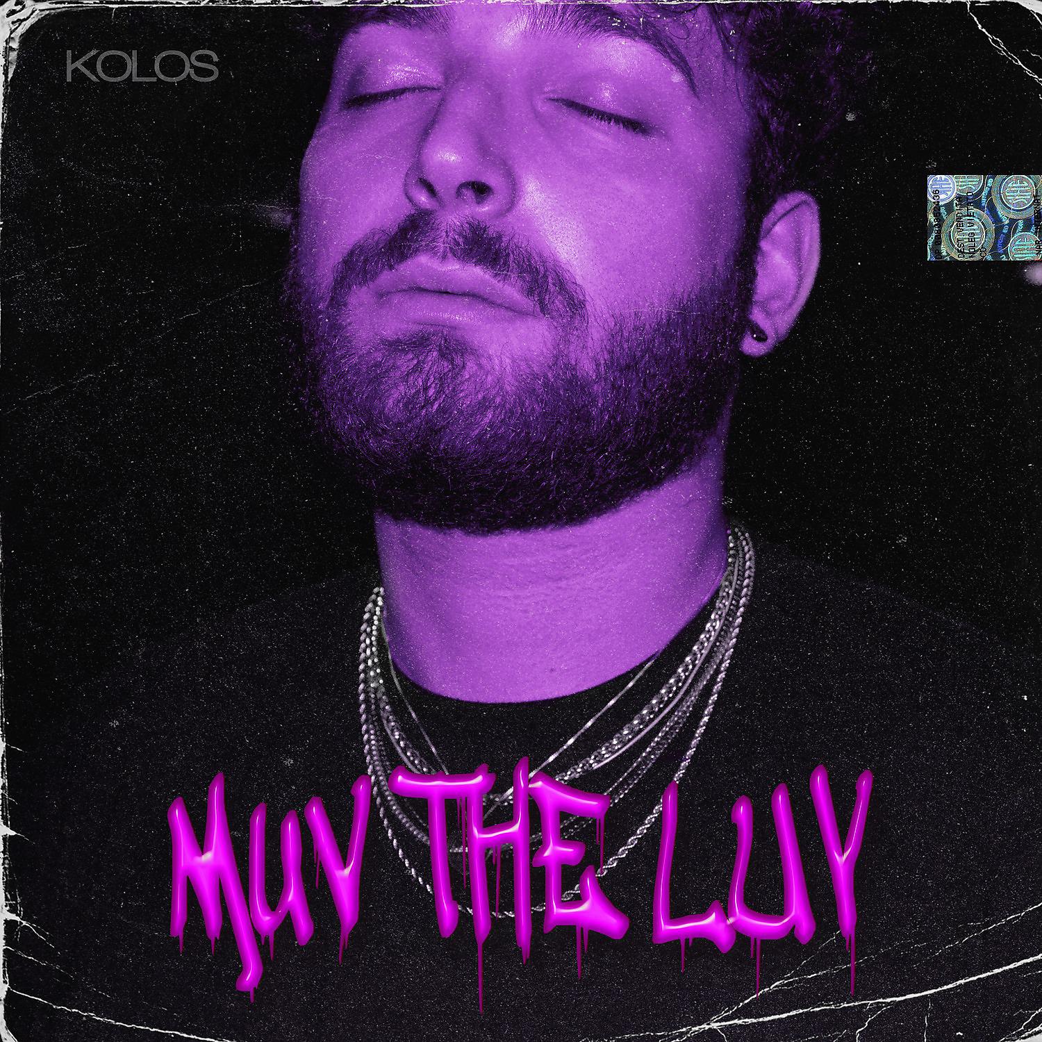 Постер альбома Muv The Luv