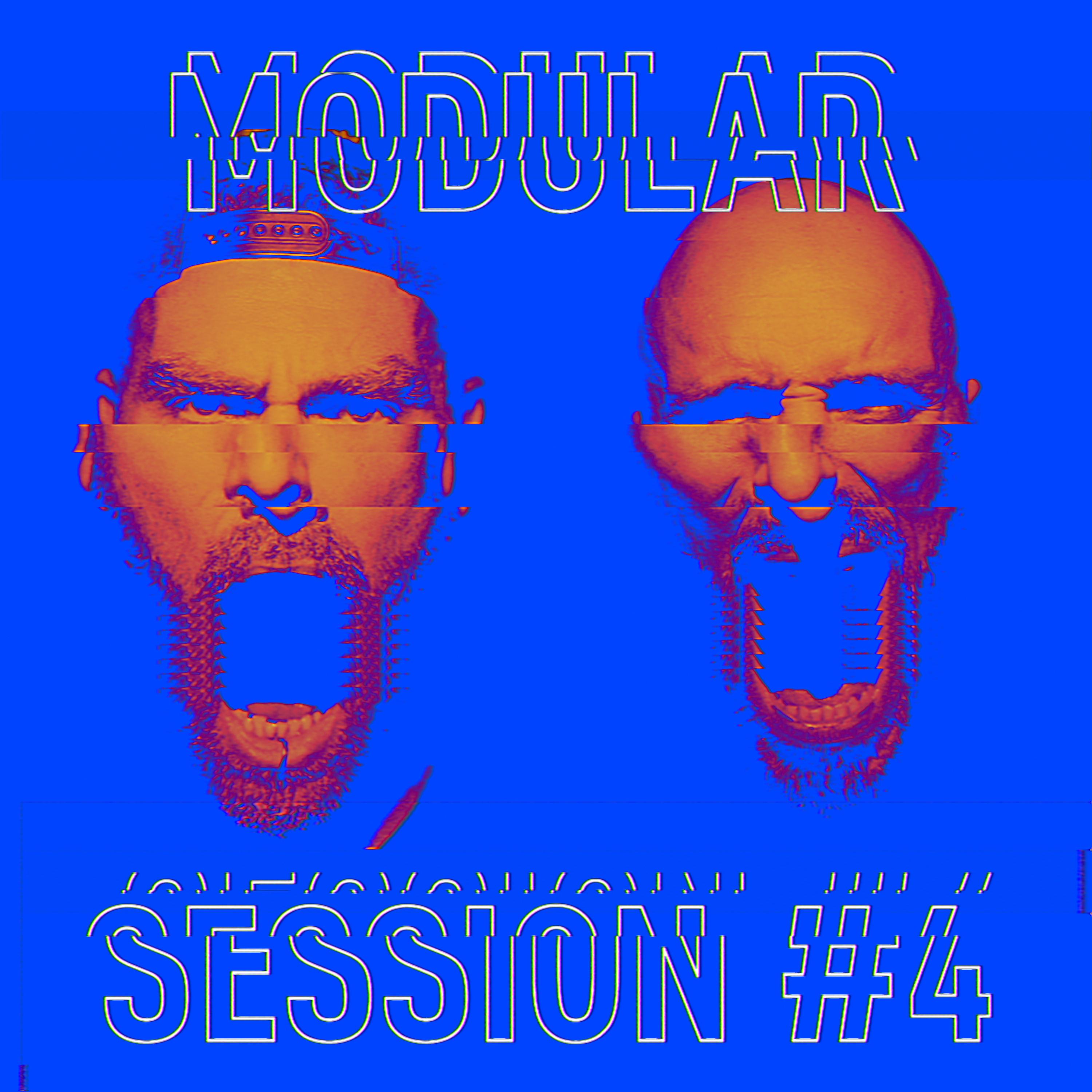 Постер альбома Modular Session #4