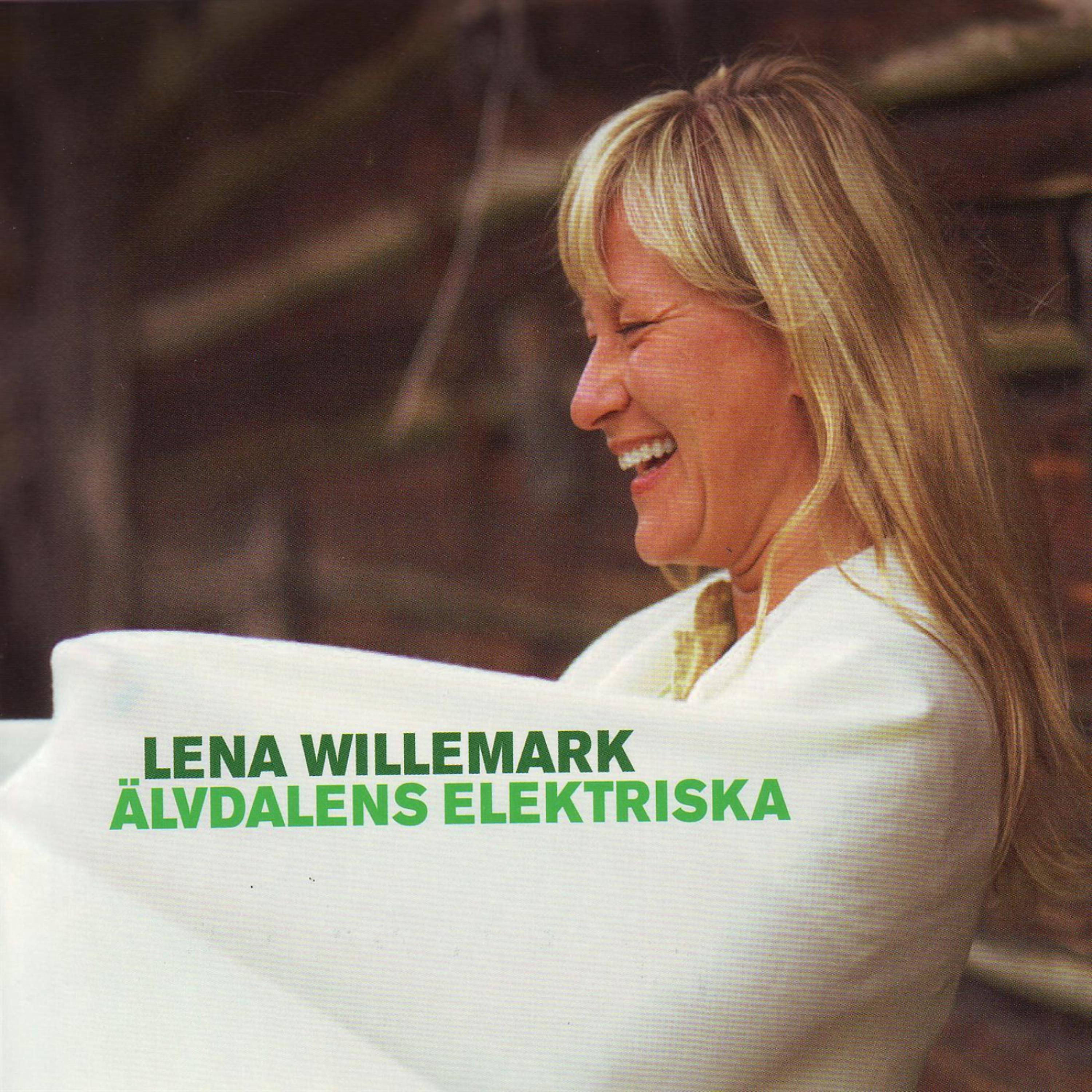 Постер альбома Älvdalens elektriska