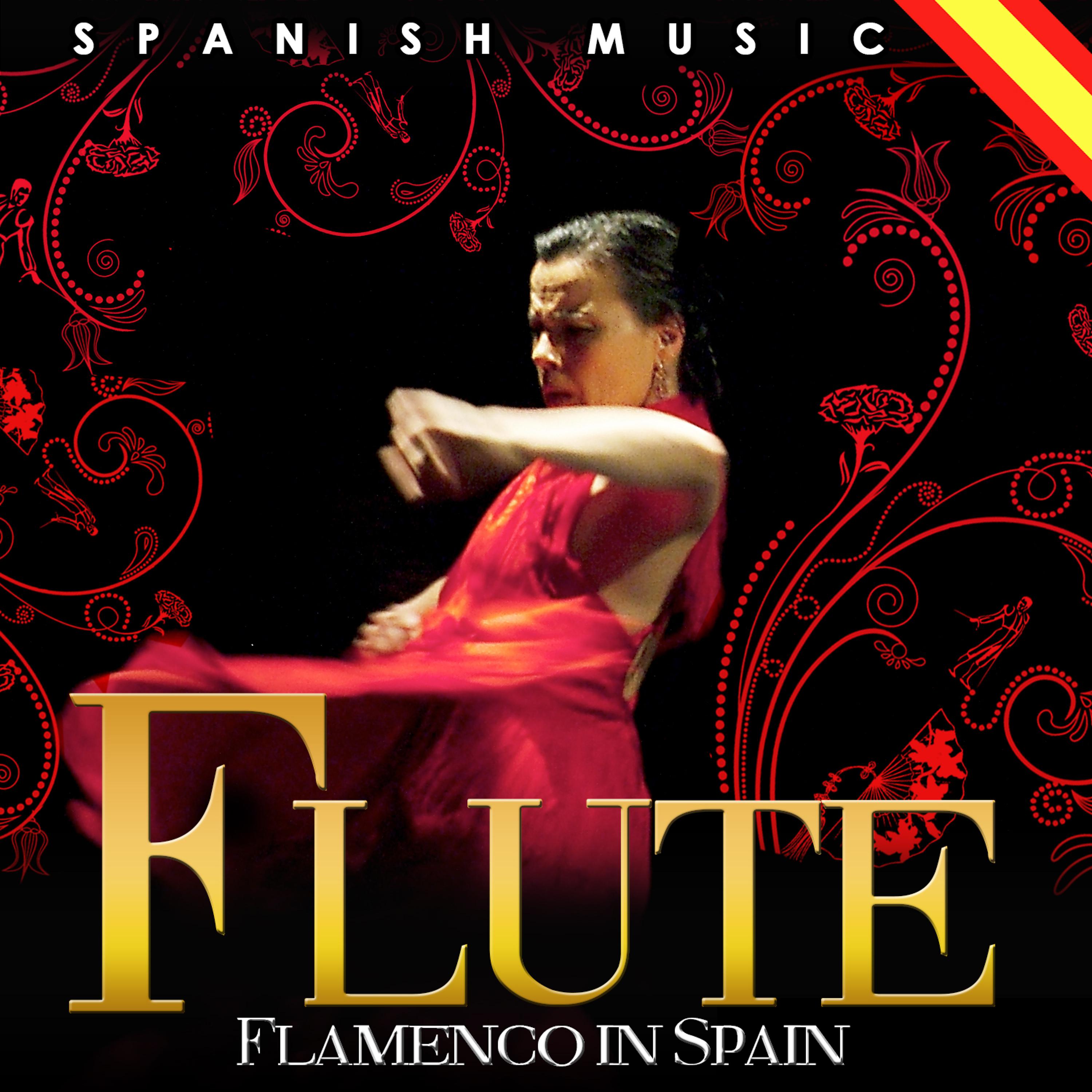 Постер альбома Spanish Music. Flute Flamenco in Spain