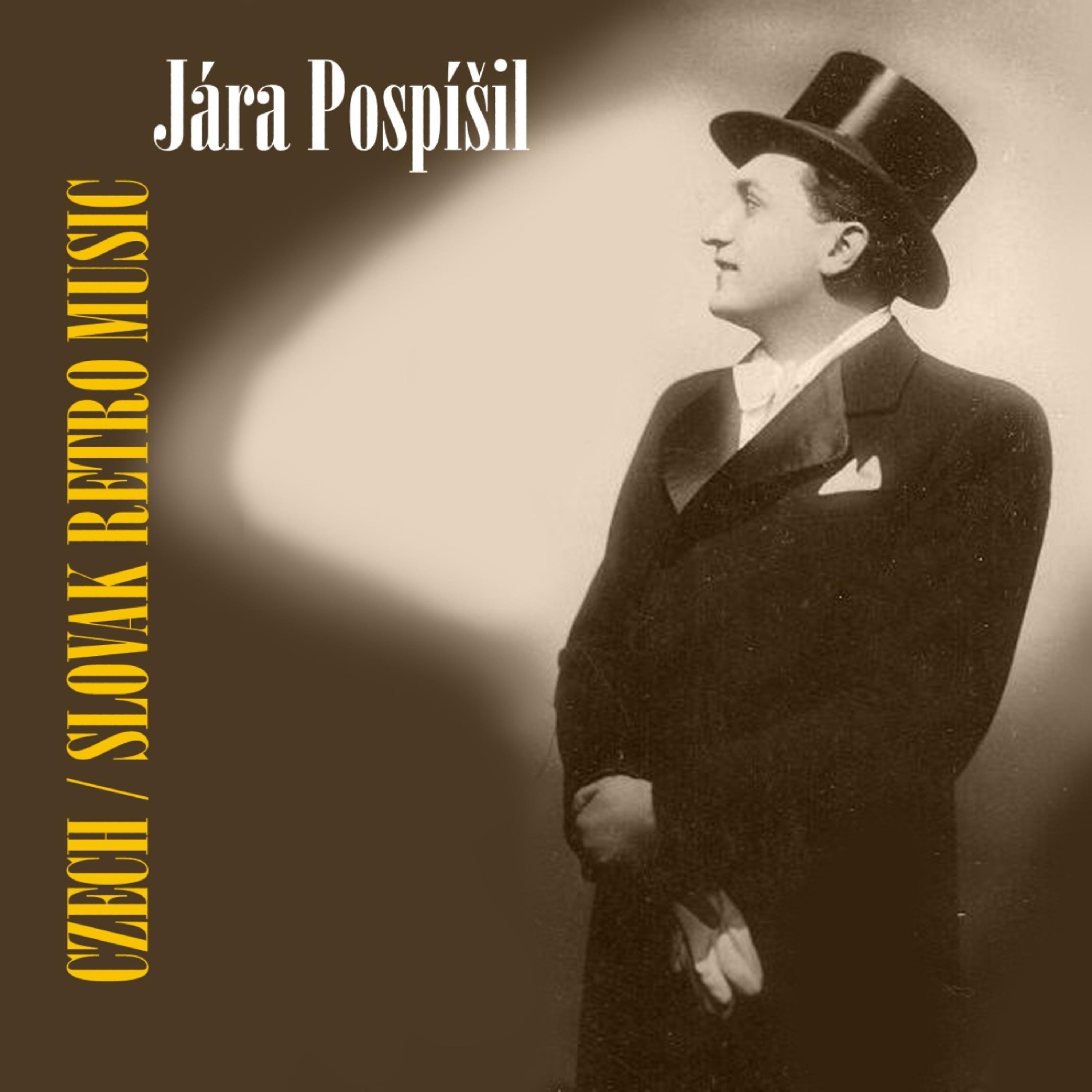 Постер альбома Czech / Slovak Retro Music / Jára Pospíšil