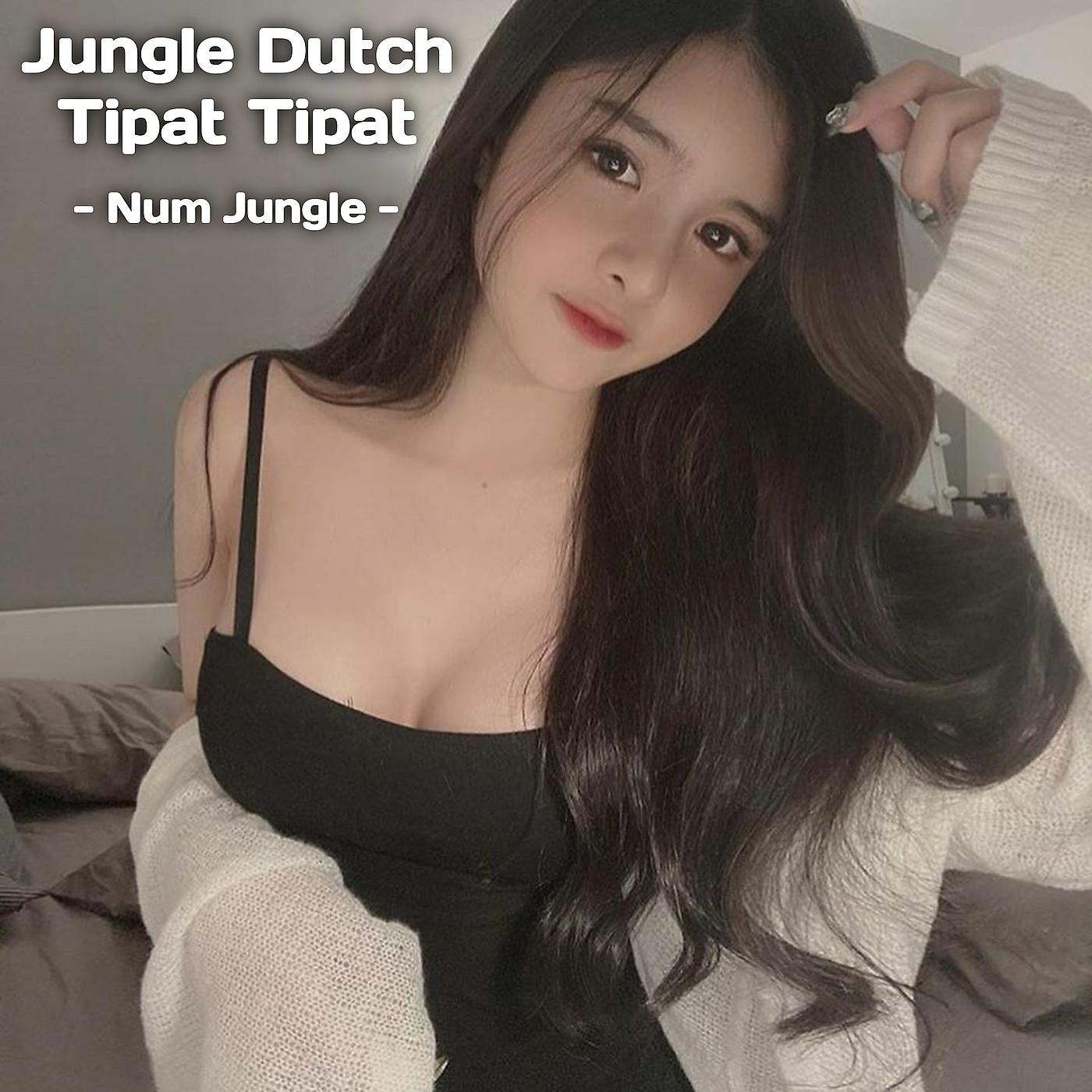 Постер альбома Jungle Dutch Tipat Tipat