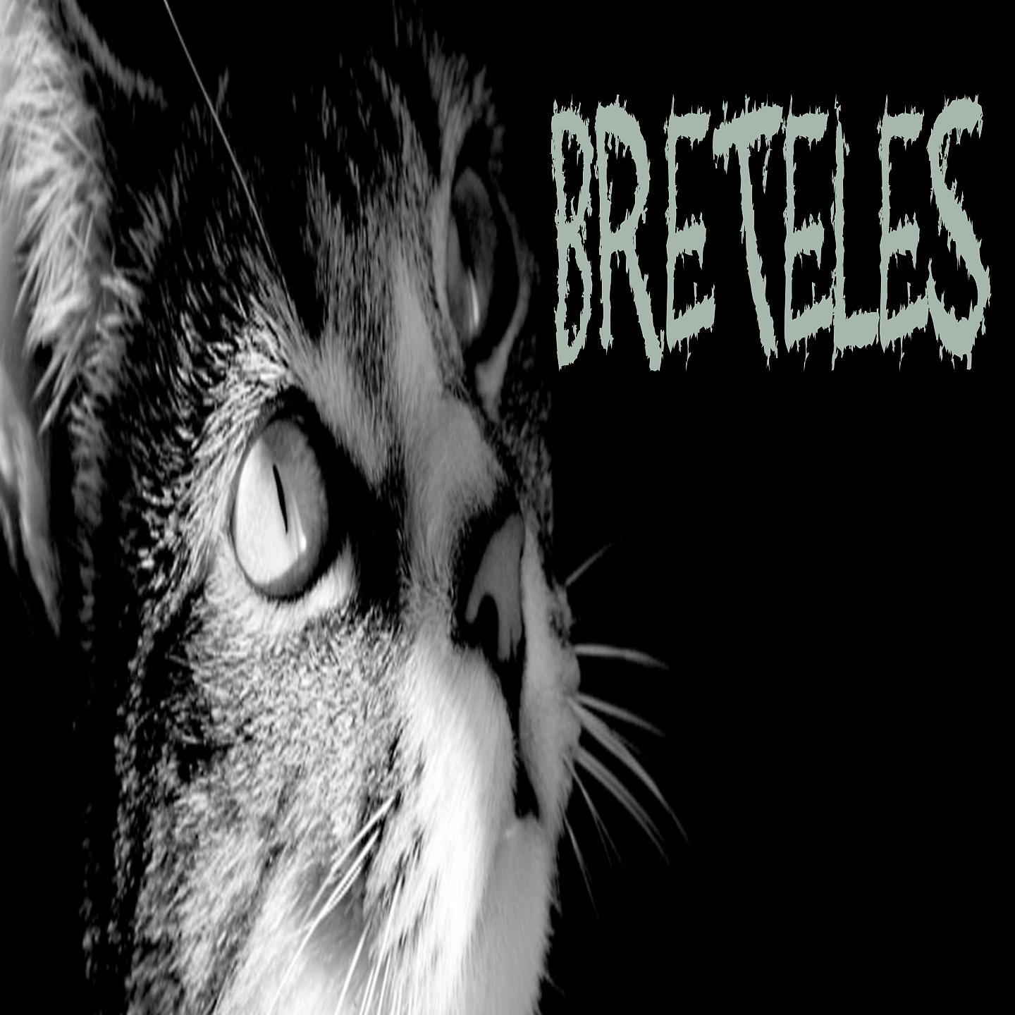Постер альбома Breteles
