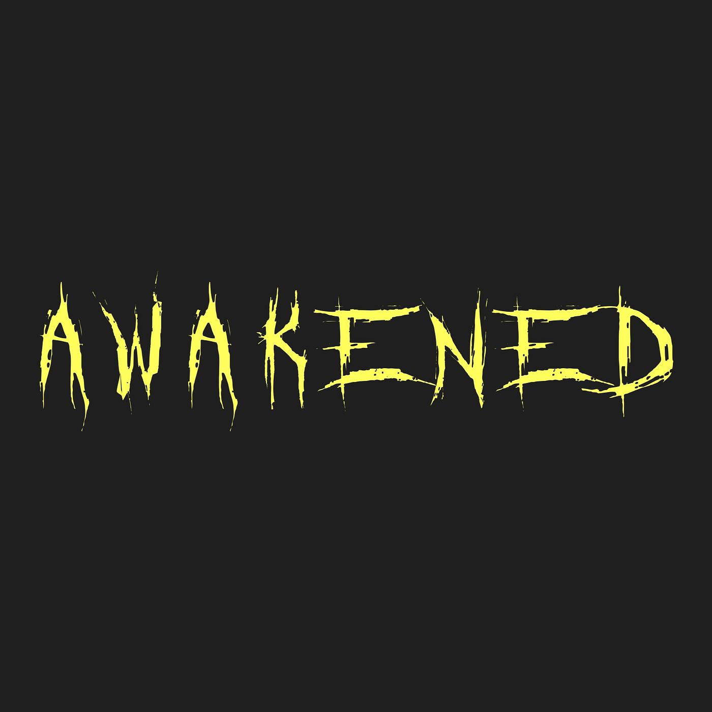 Постер альбома Awakened