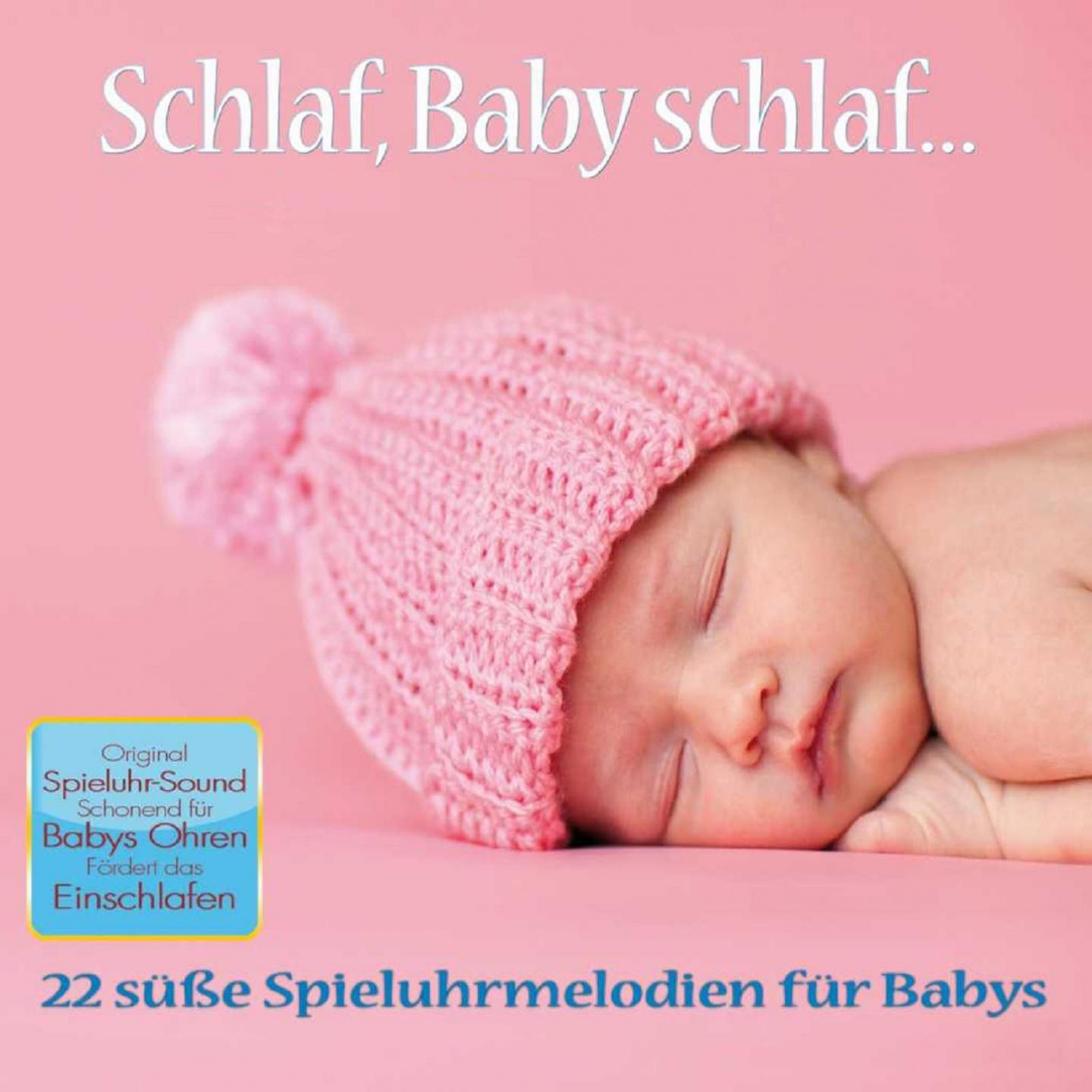 Постер альбома Schlaf, Baby schlaf