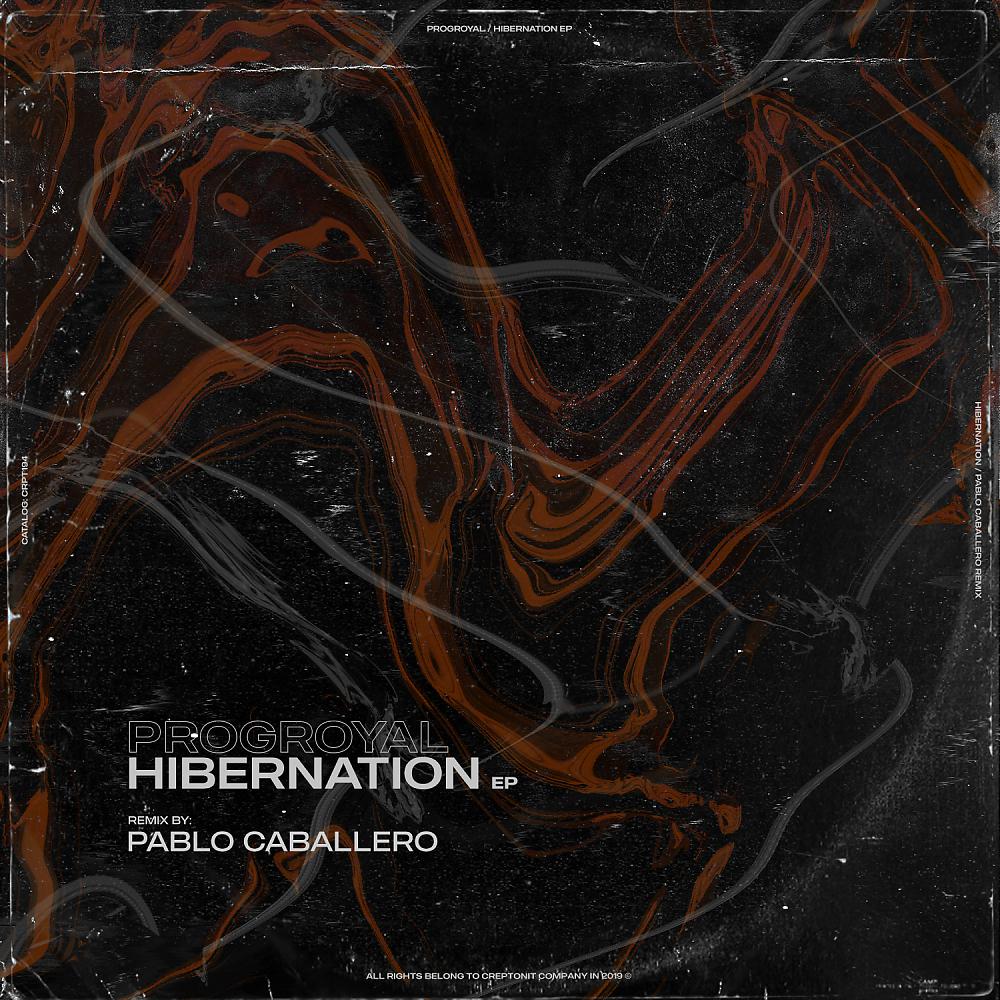 Постер альбома Hibernation