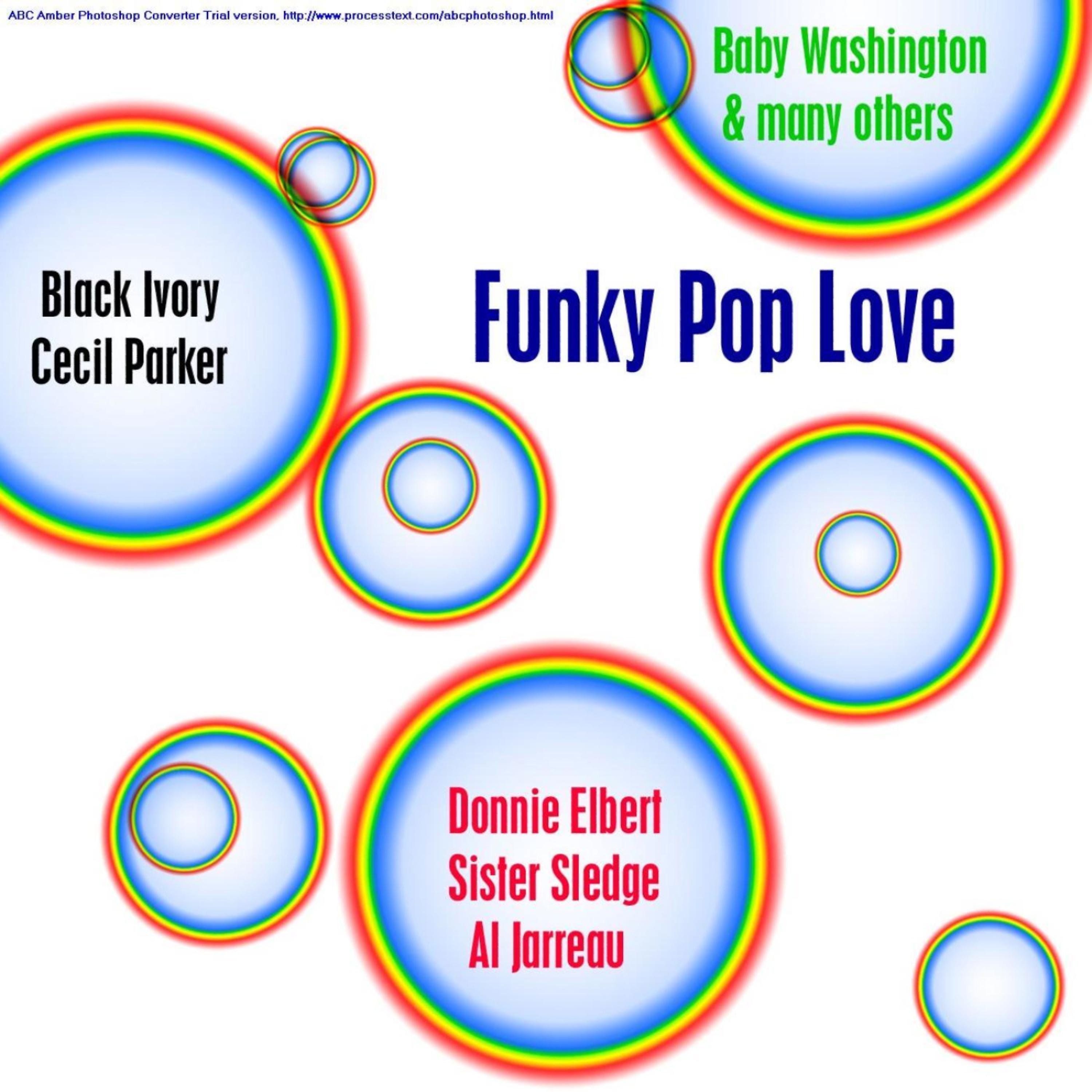 Постер альбома Funky Pop Love