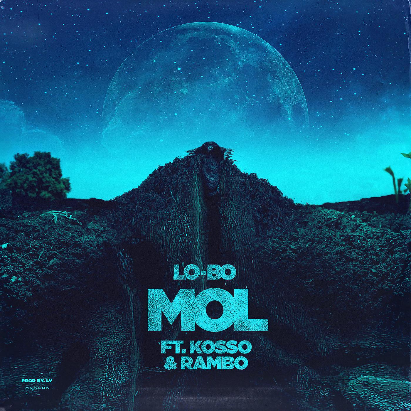 Постер альбома Mol