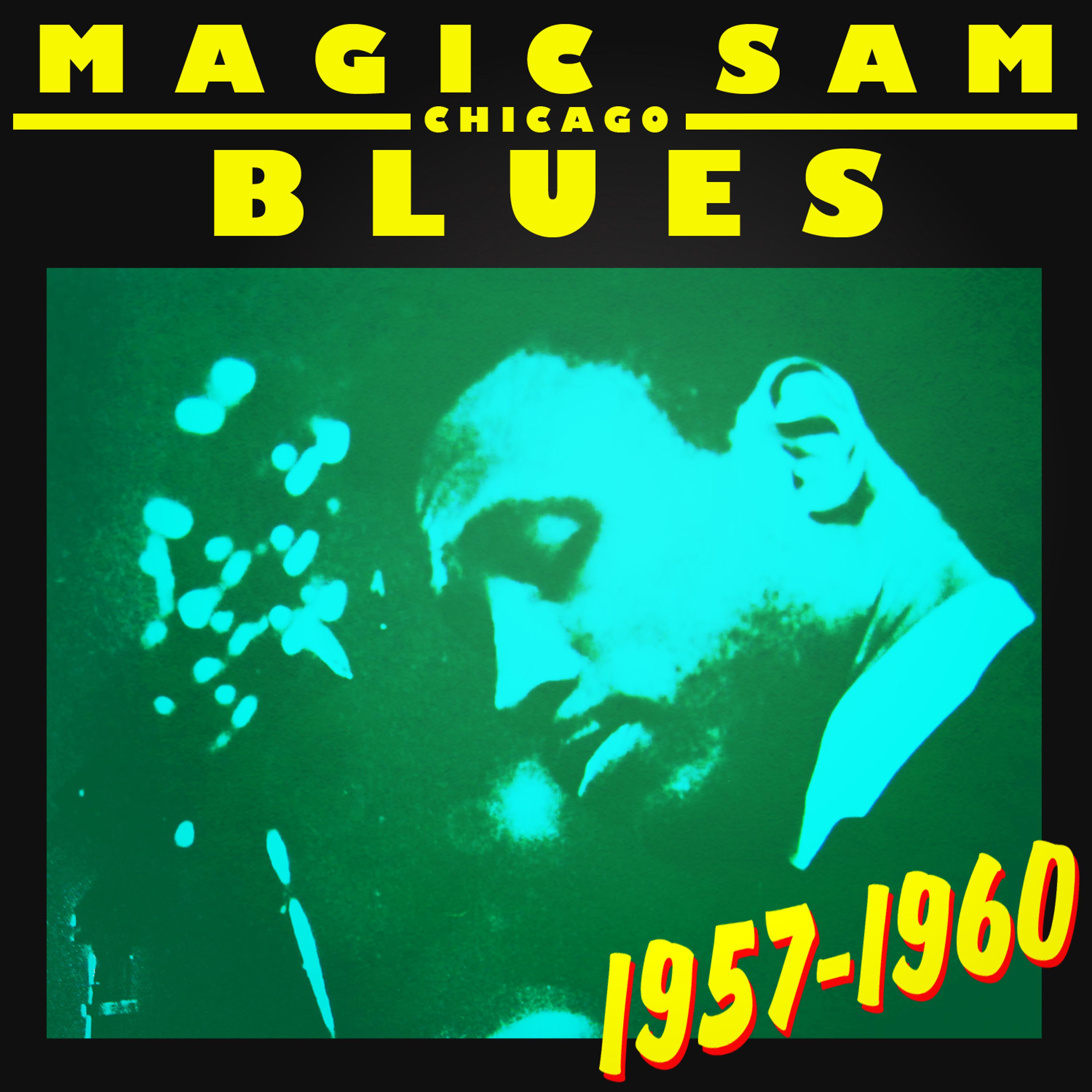 Постер альбома Chicago Blues 1957-1960