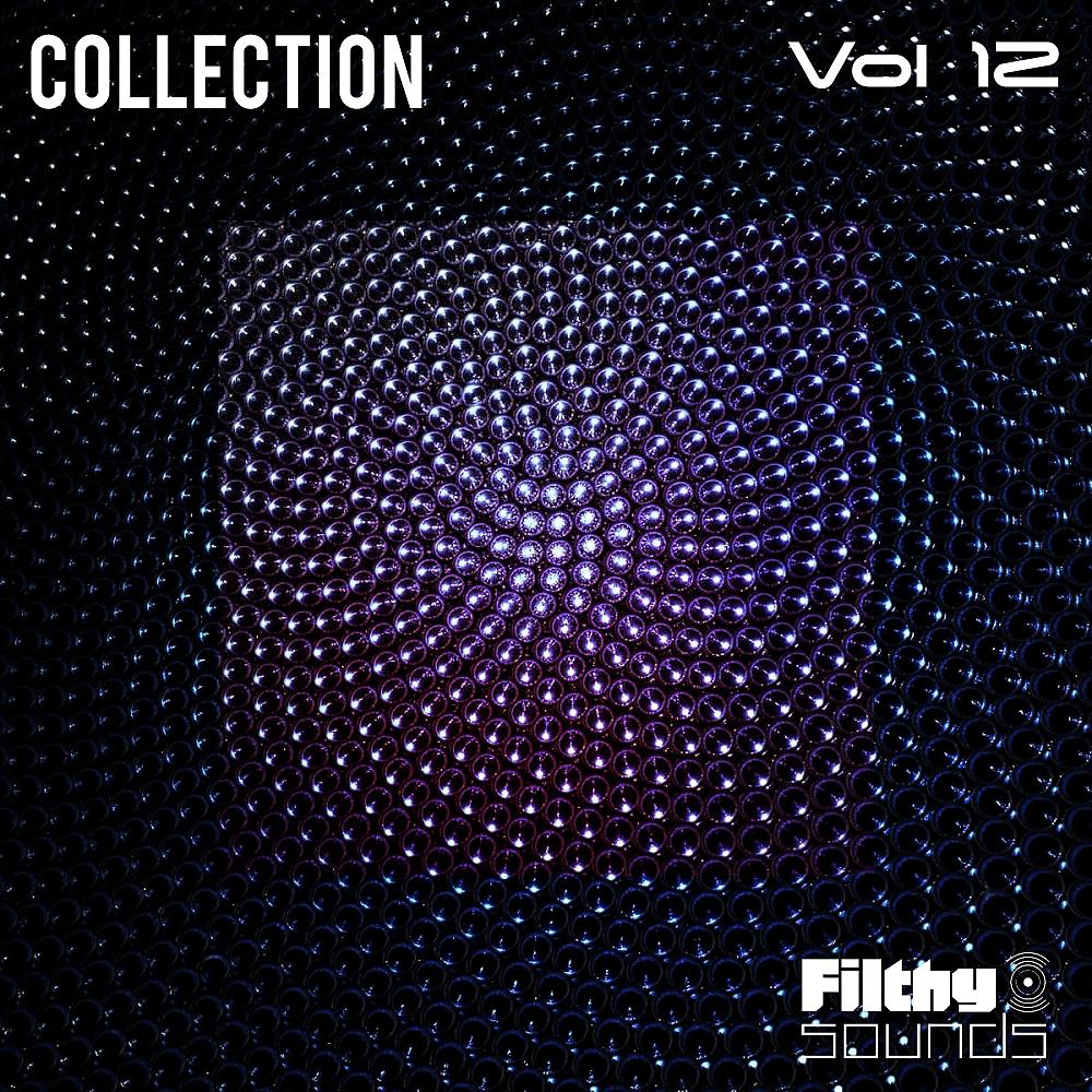 Постер альбома Filthy Sounds Collection, Vol. 12