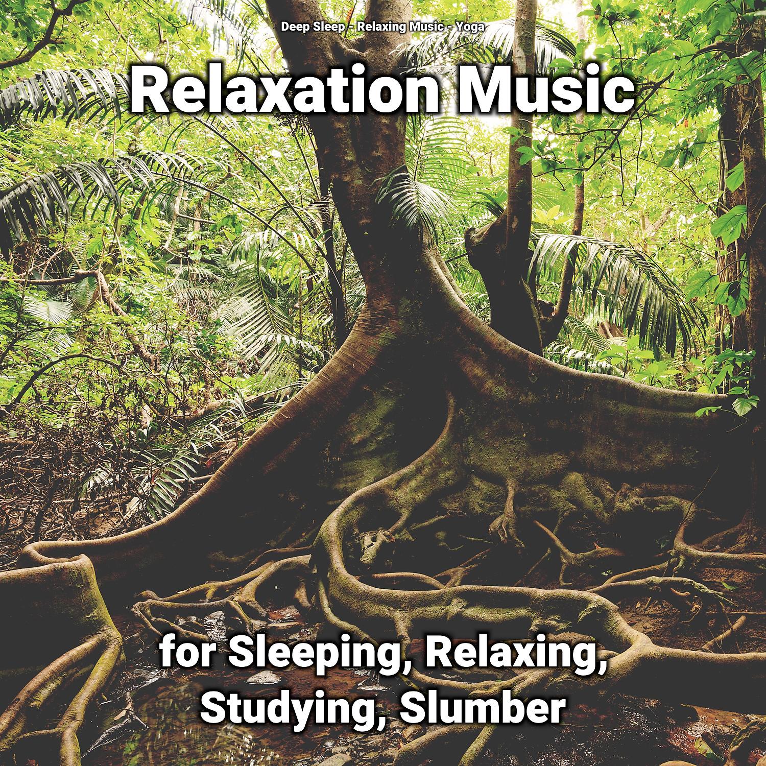 Постер альбома Relaxation Music for Sleeping, Relaxing, Studying, Slumber
