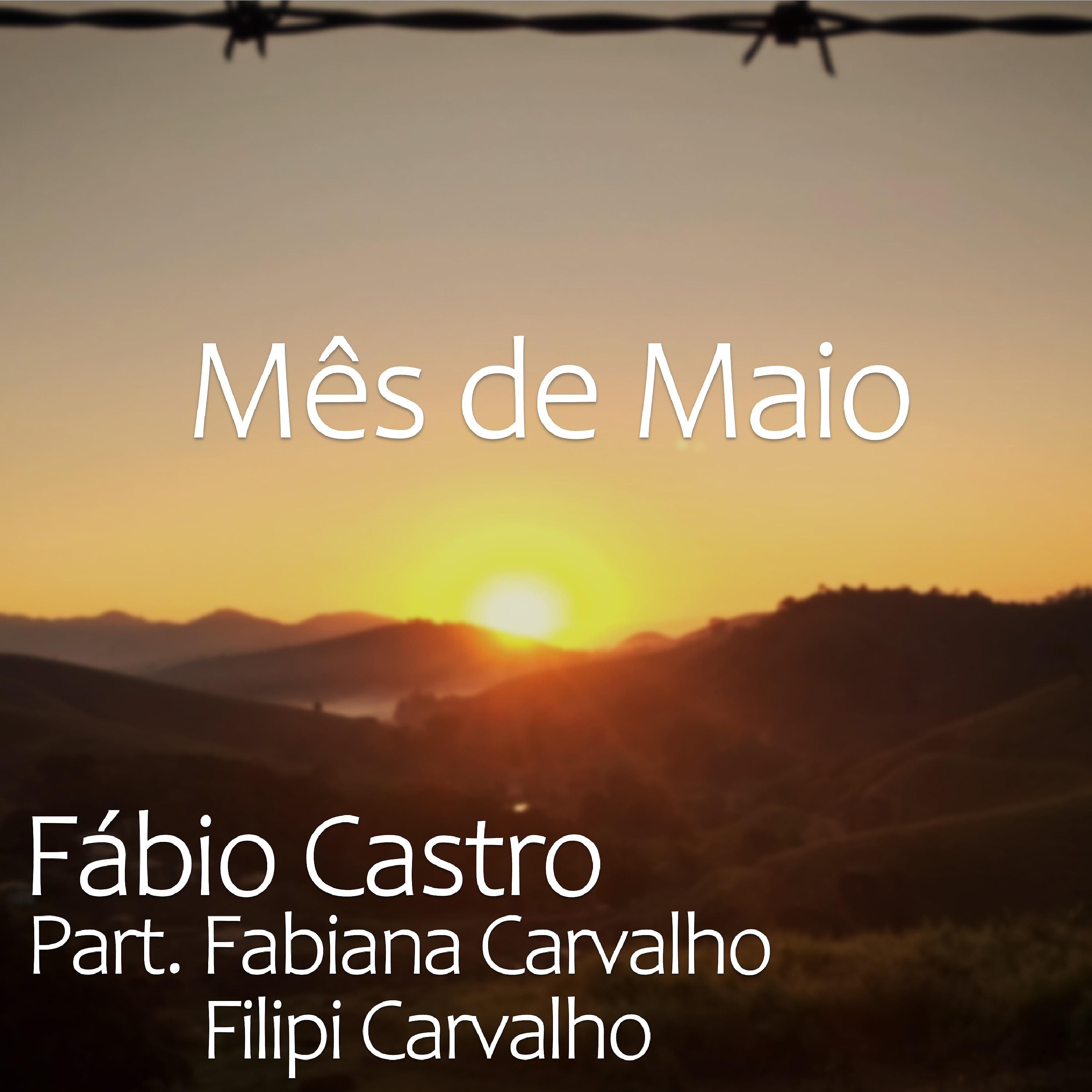 Постер альбома Mês de Maio