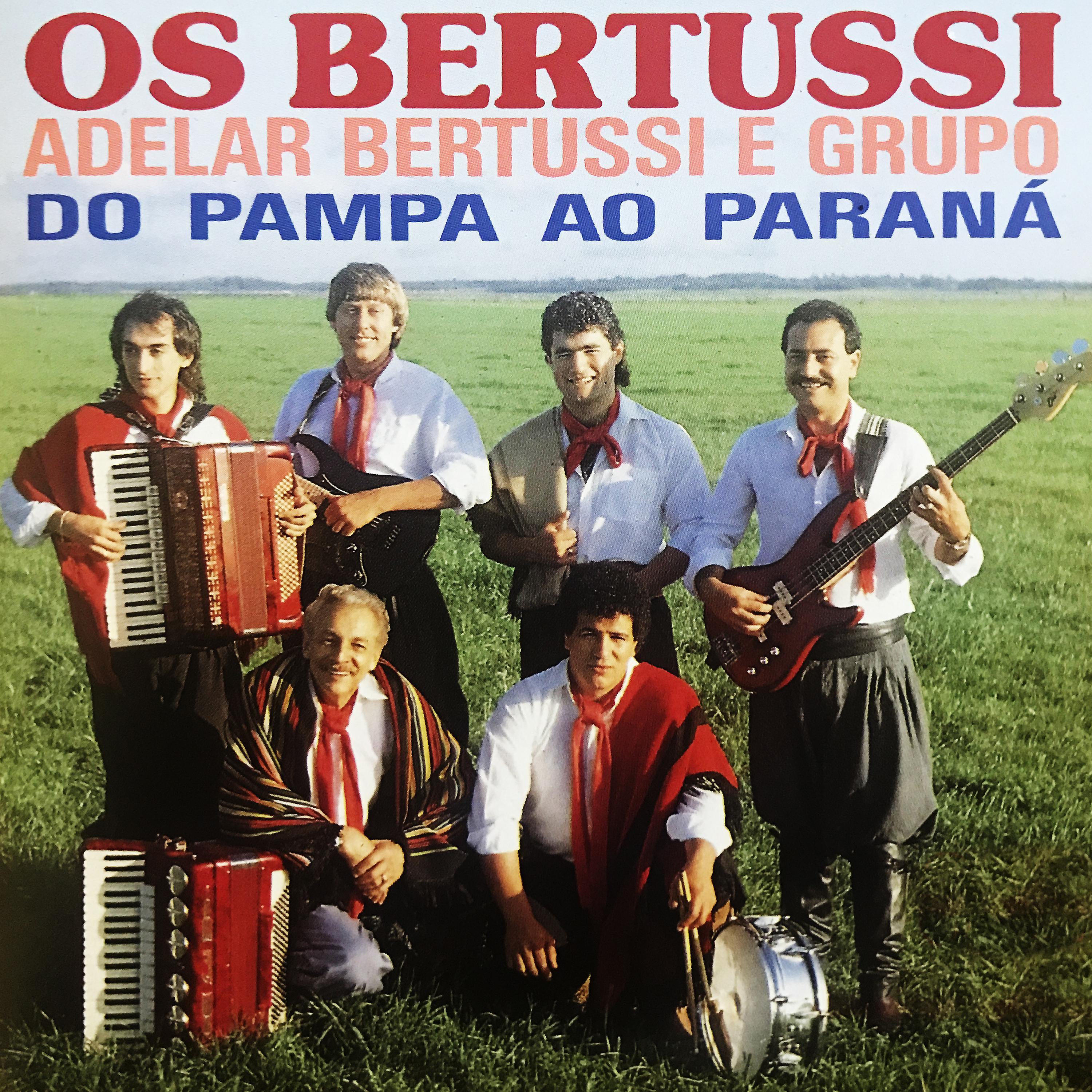Постер альбома Do Pampa Ao Paraná
