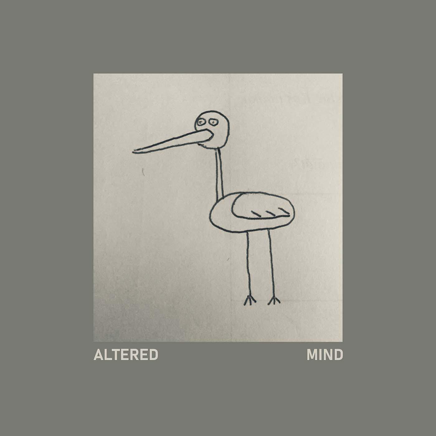 Постер альбома Altered Mind