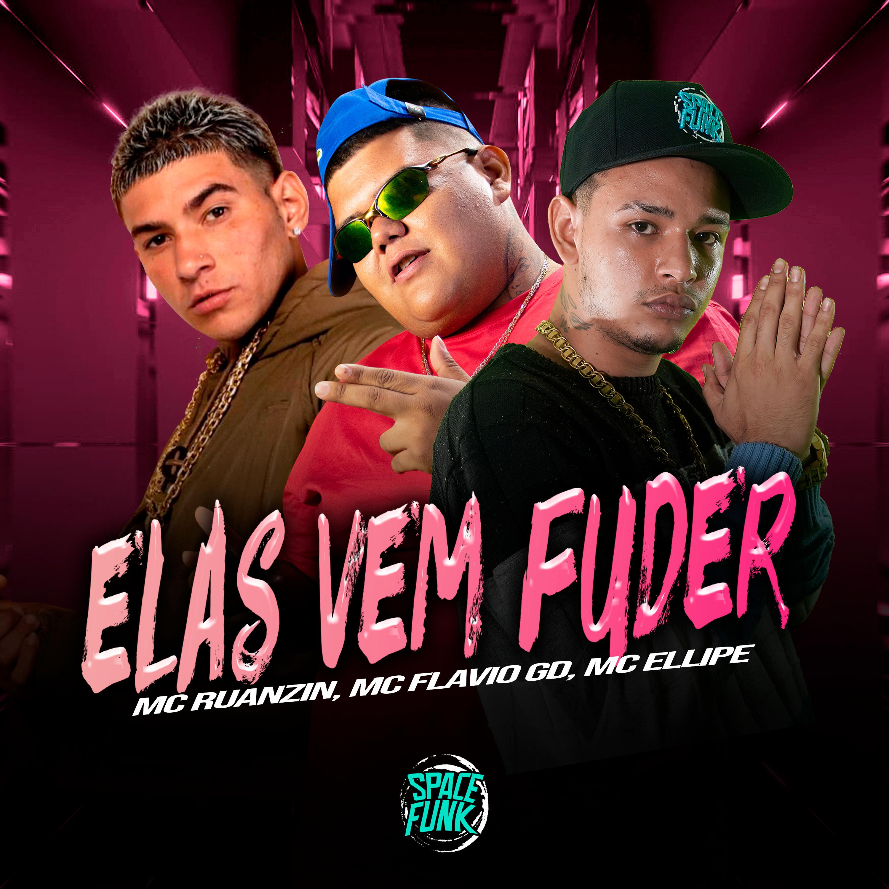 Постер альбома Elas Vem Fuder