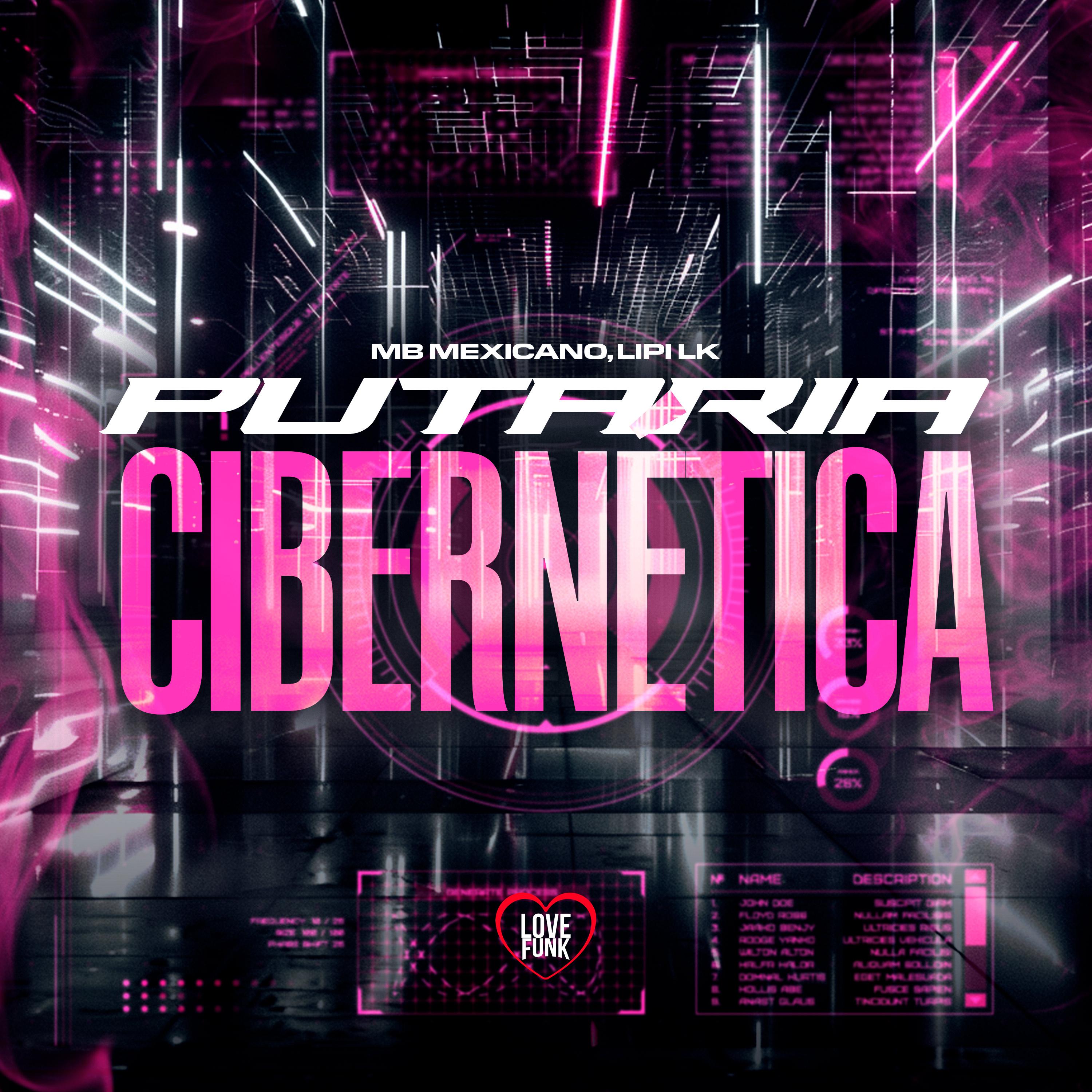Постер альбома Putaria Cibernética