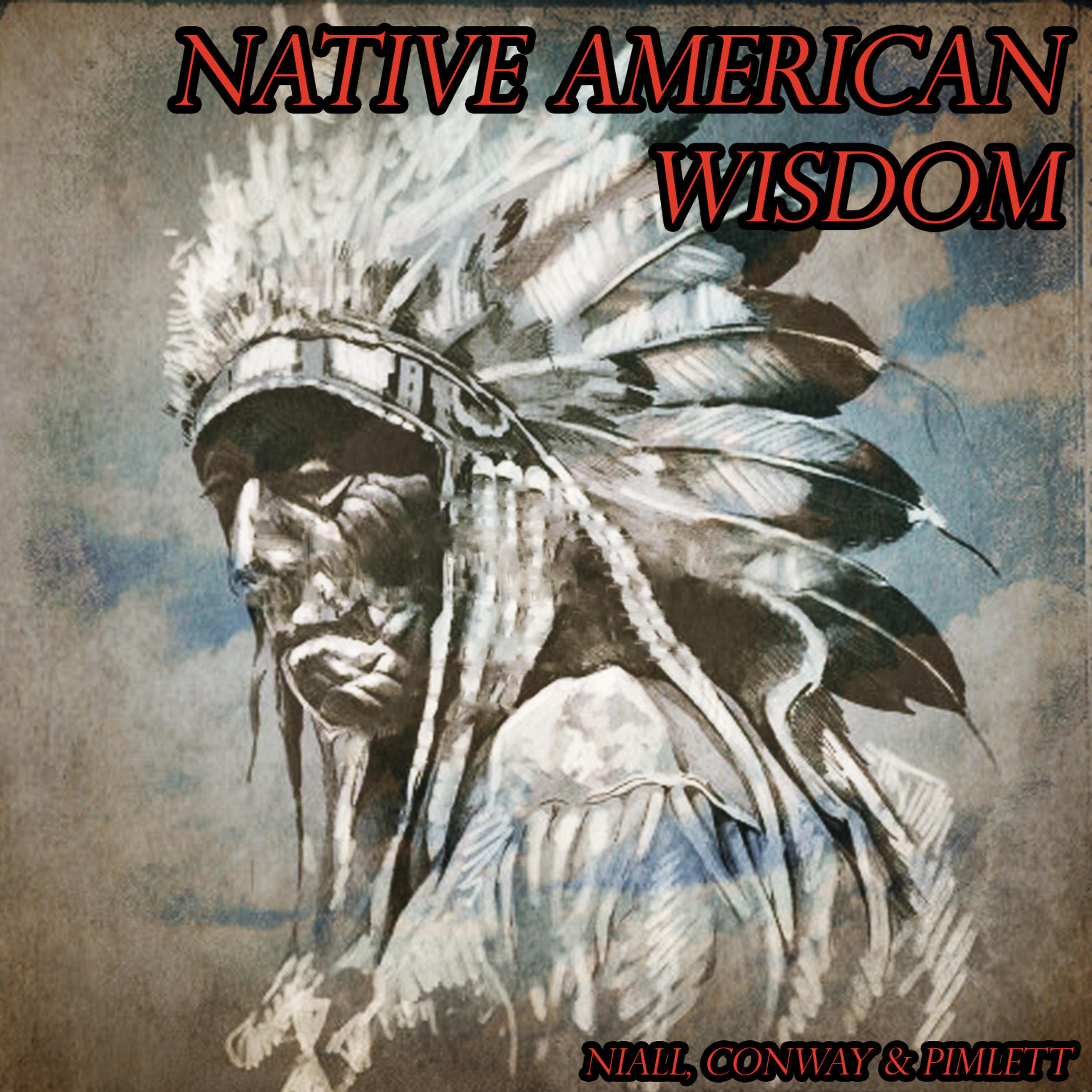 Постер альбома Native American Wisdom