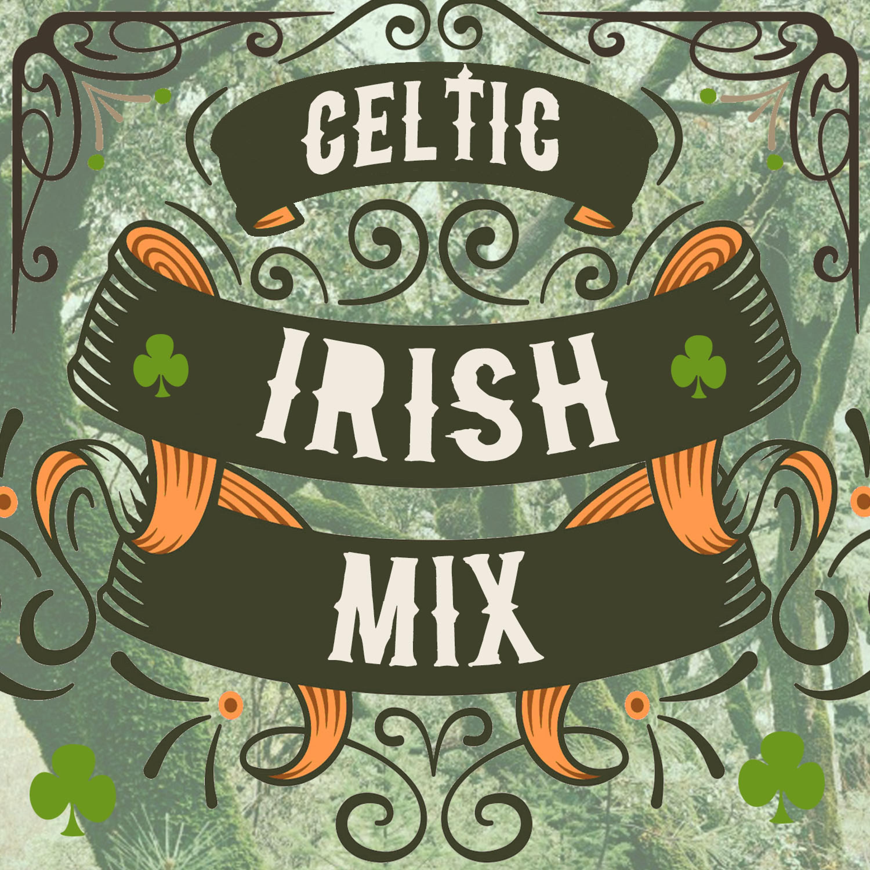 Постер альбома Celtic Irish Mix