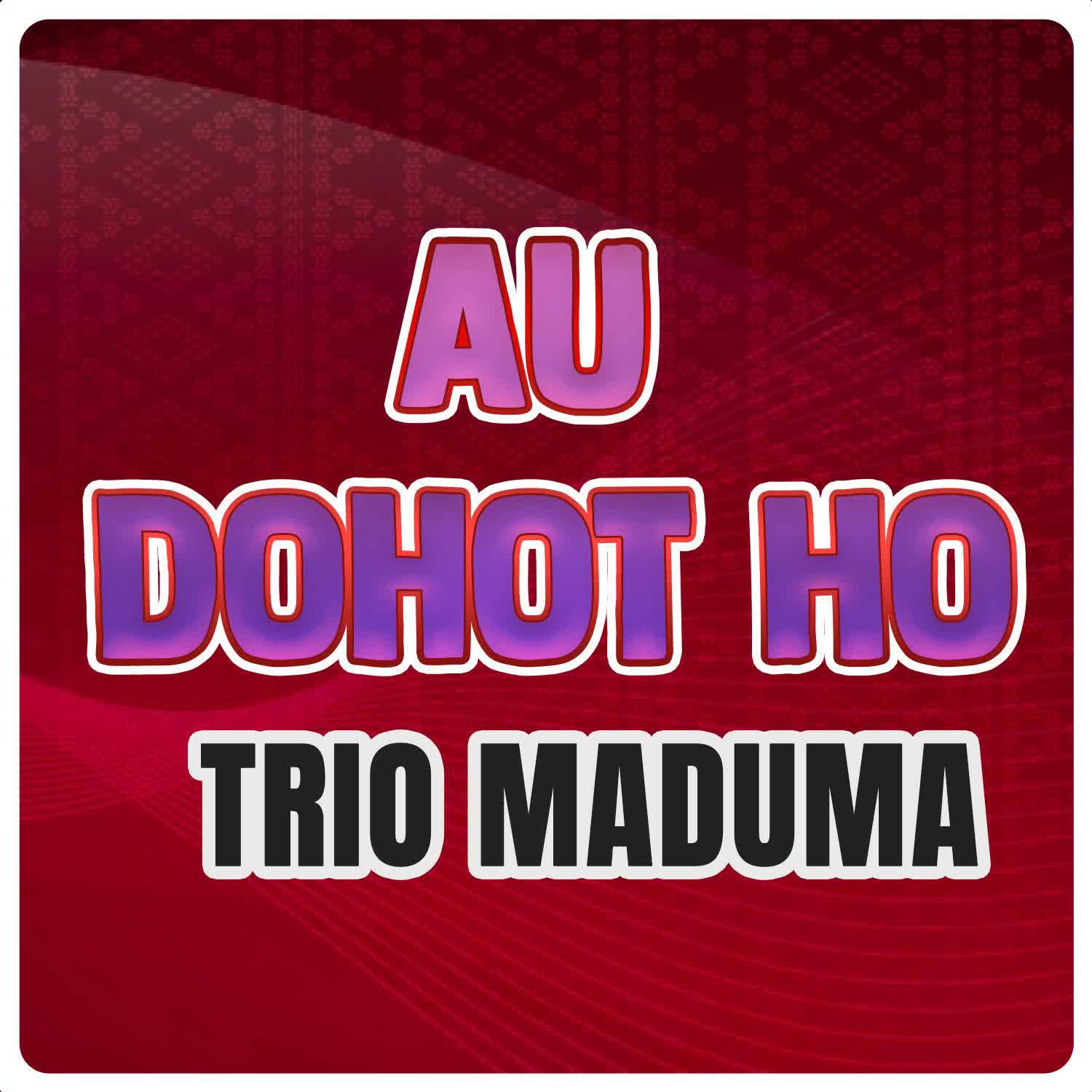 Постер альбома Au Dohot Ho