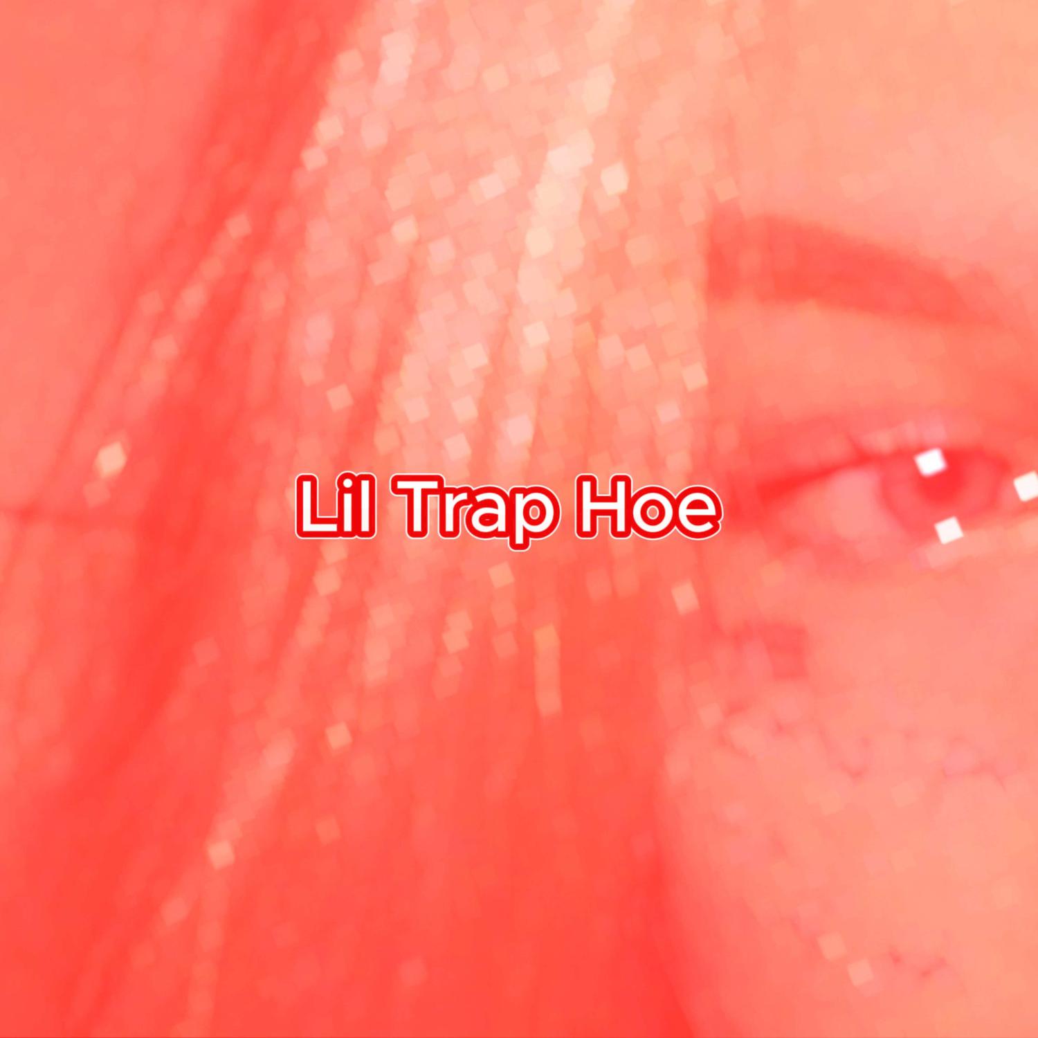 Постер альбома Lil Trap Hoe