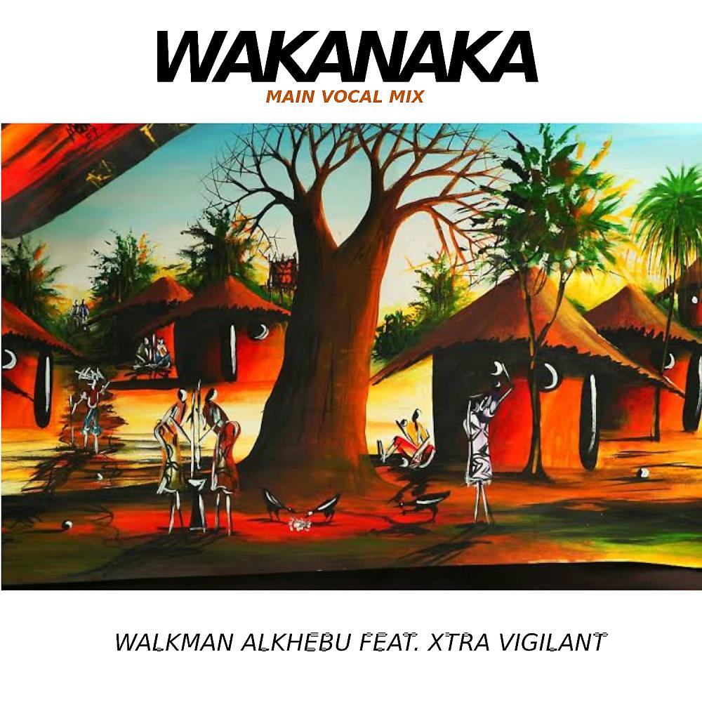 Постер альбома Wakanaka