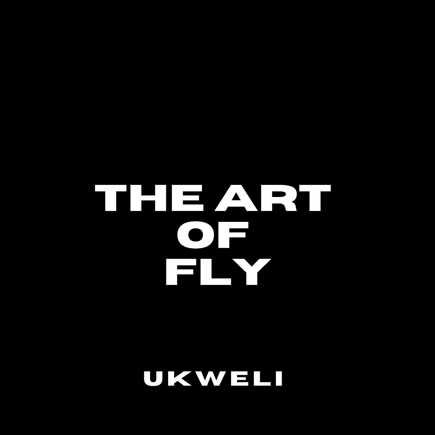 Постер альбома The Art Of Fly