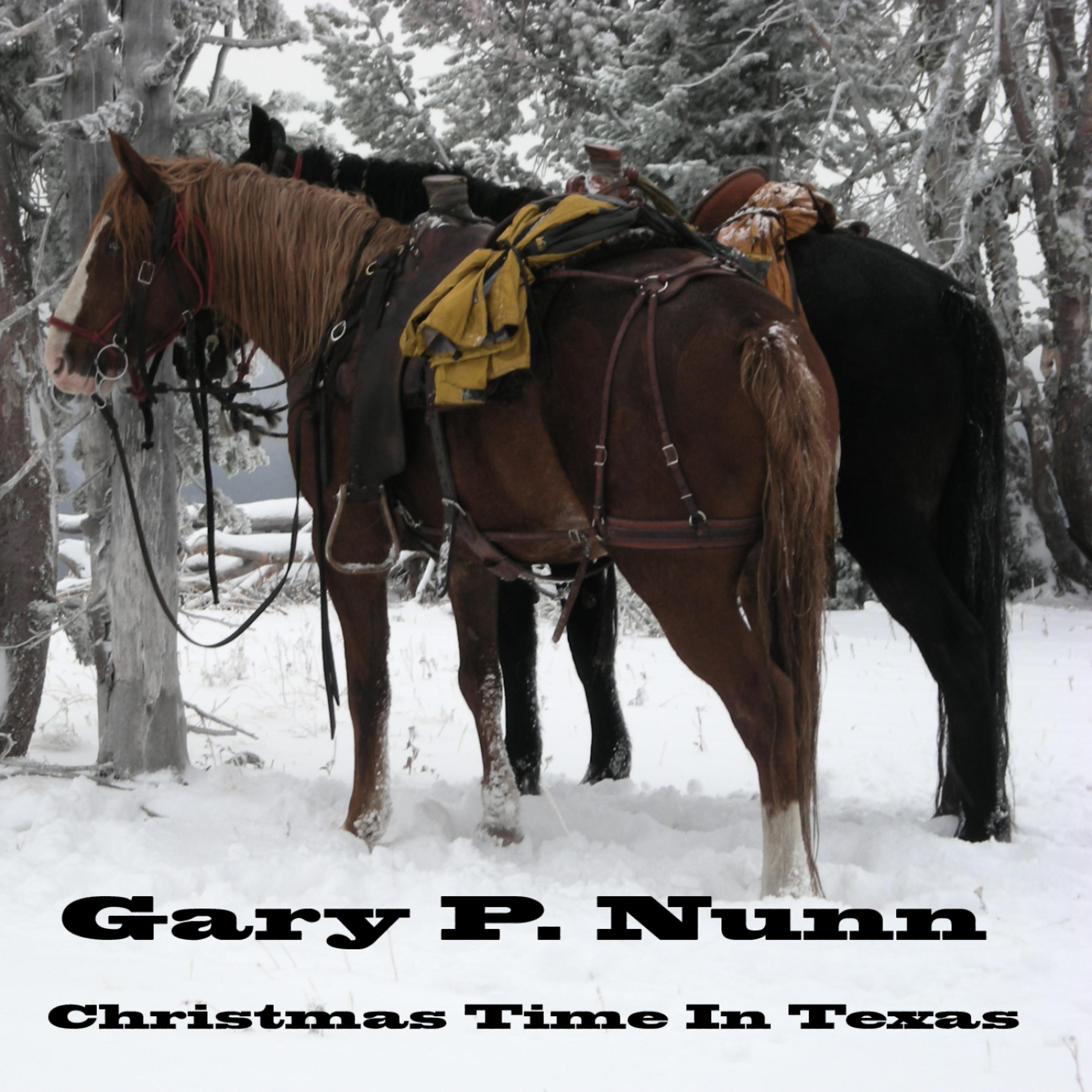 Постер альбома Christmas Time In Texas