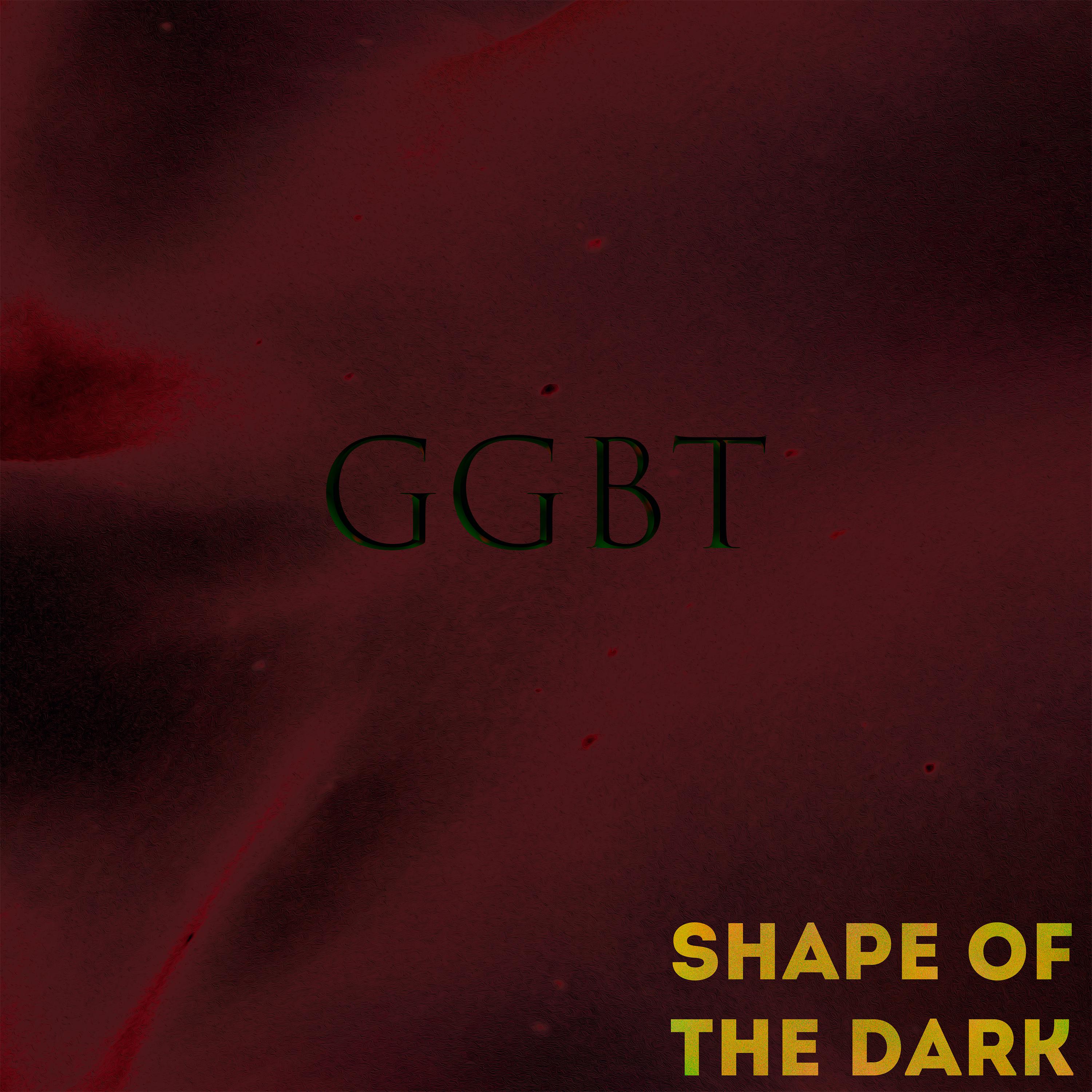 Постер альбома Shape of the Dark