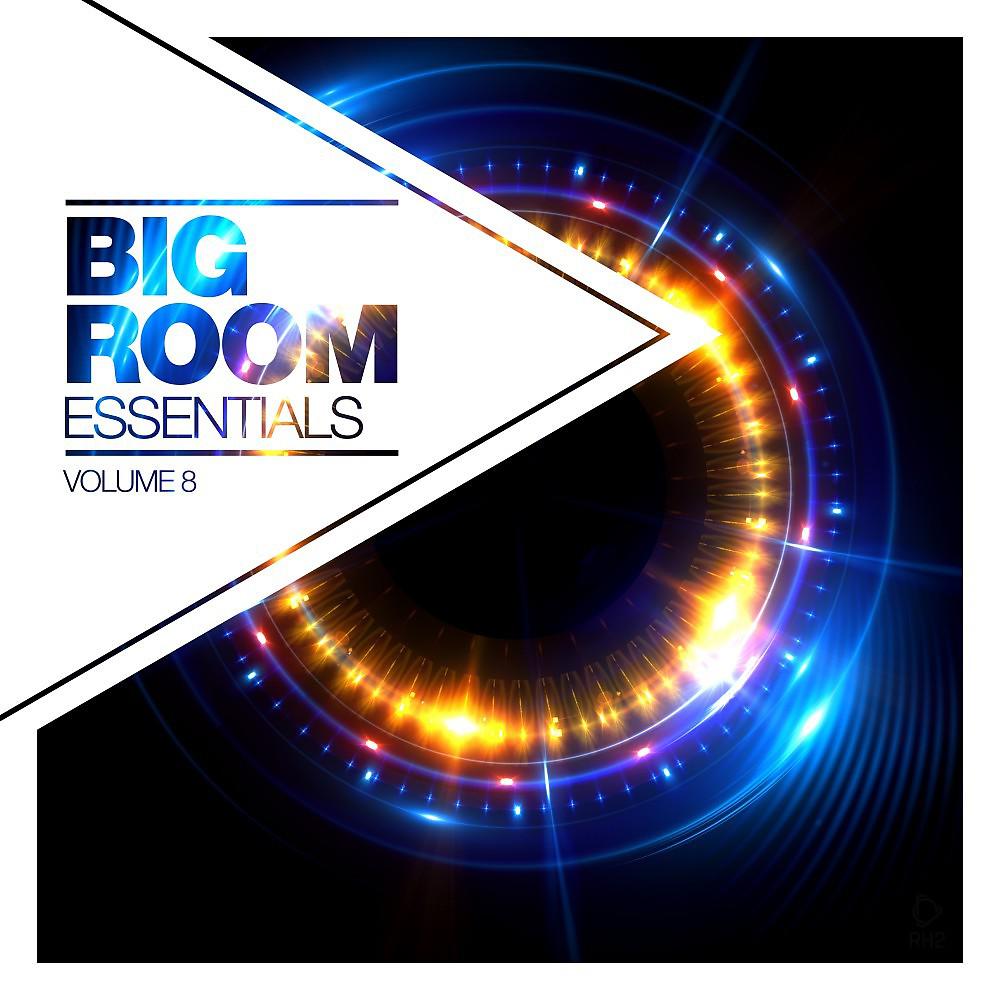 Постер альбома Big Room Essentials, Vol. 8