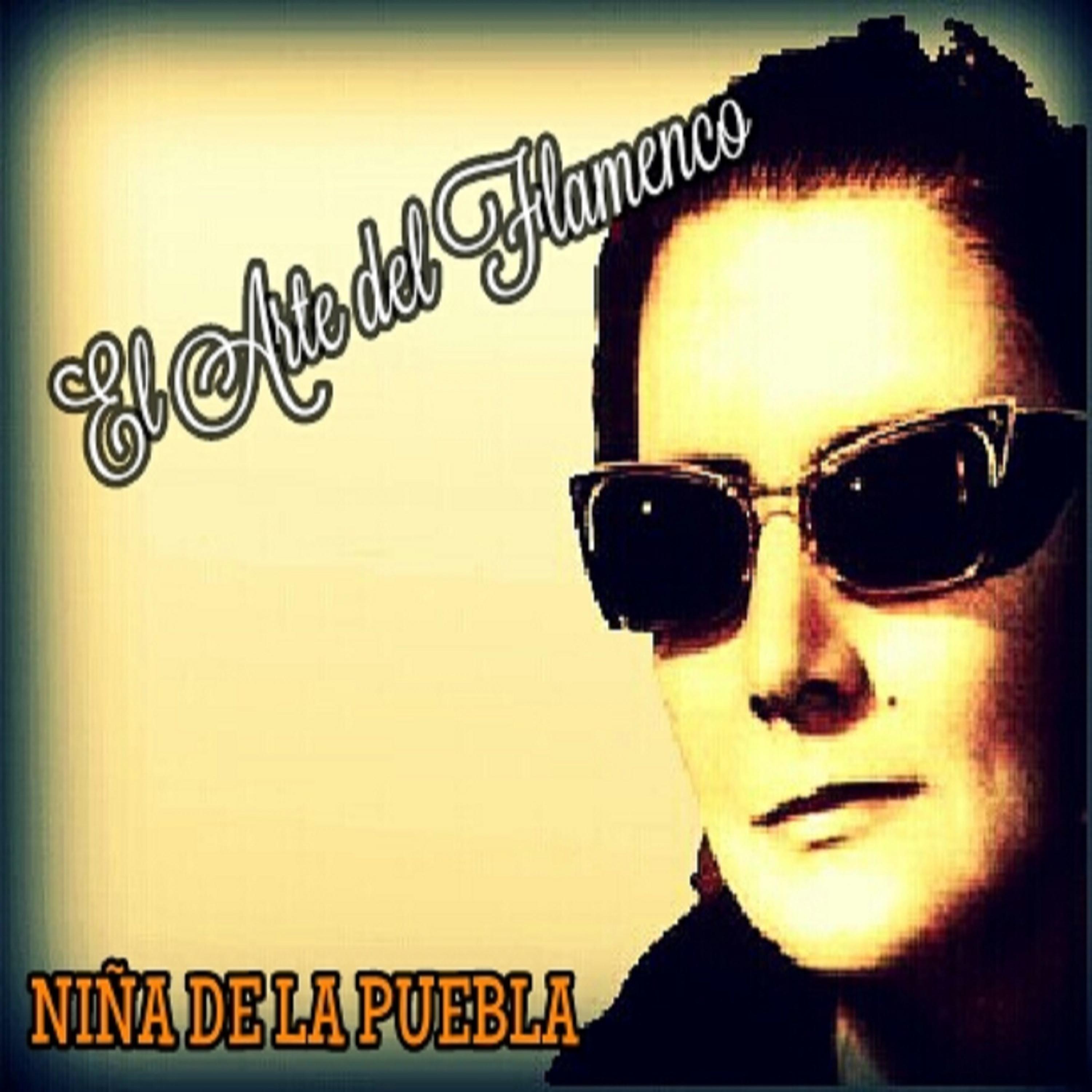 Постер альбома Niña de la Puebla - El Arte del Flamenco