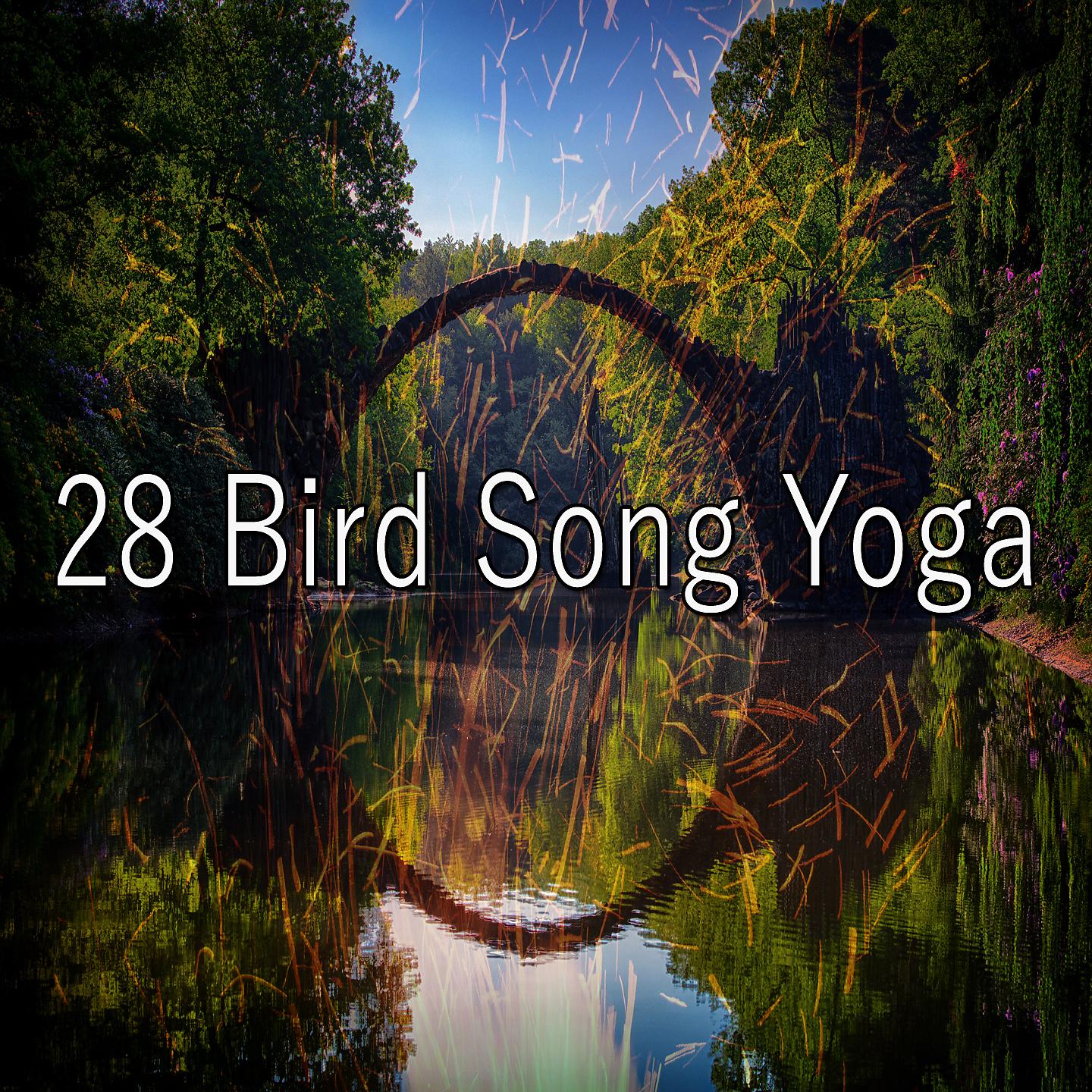 Постер альбома 28 Птичьи песни Йога