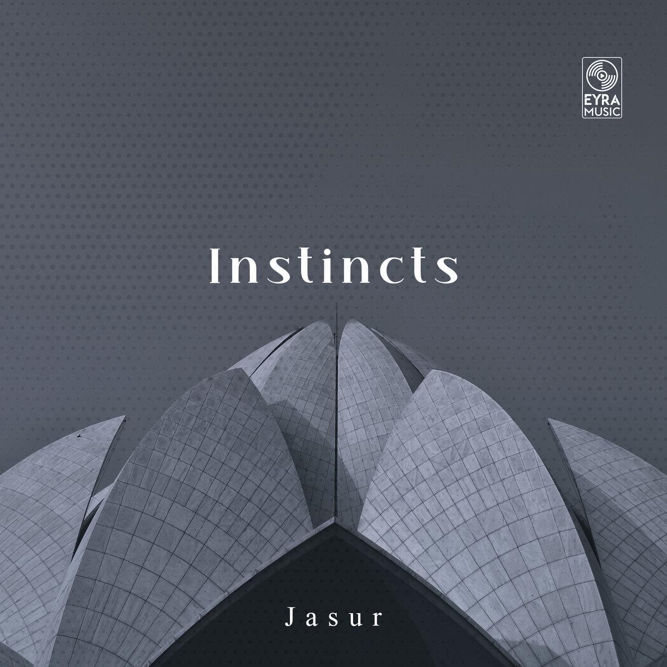 Постер альбома Instincts