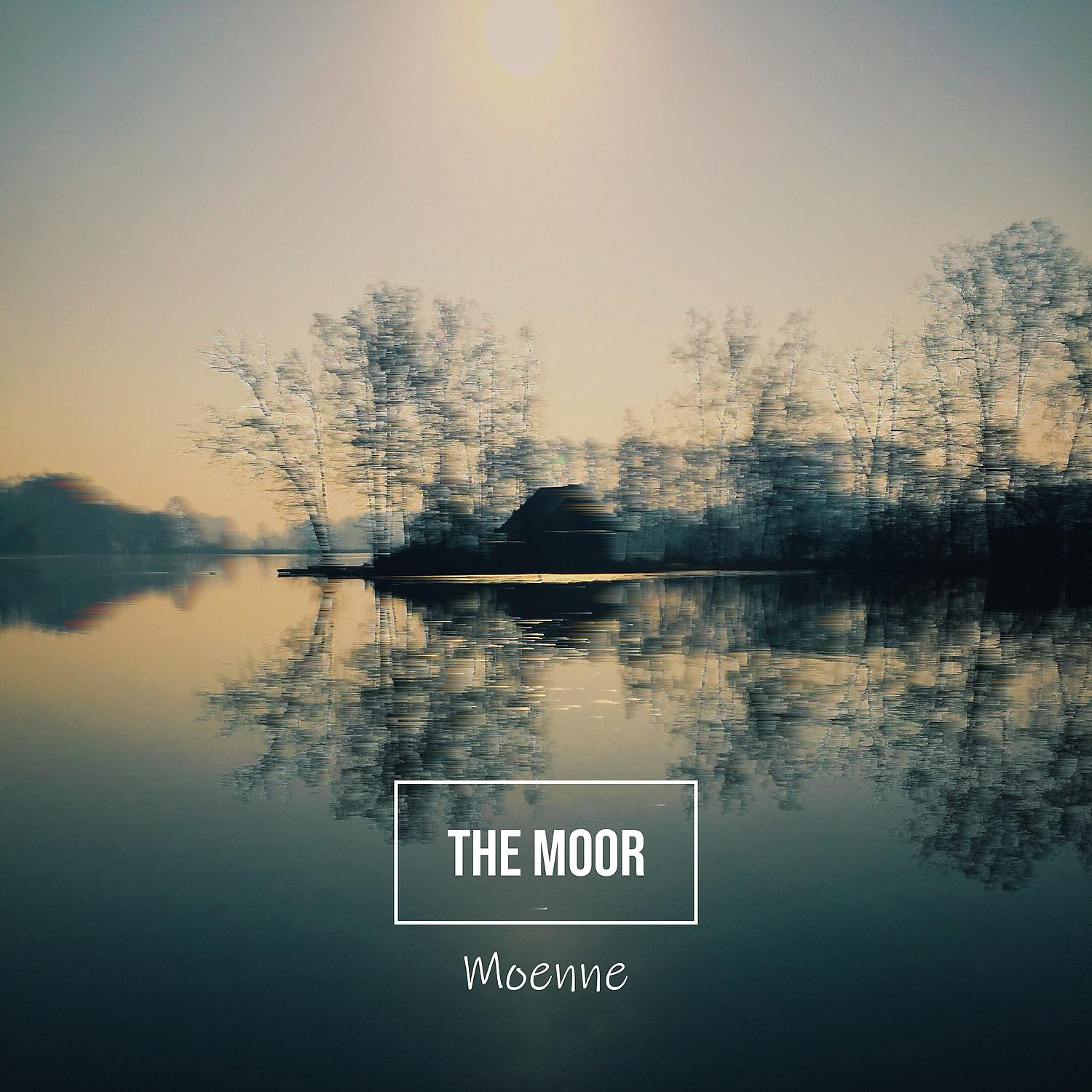 Постер альбома The Moor