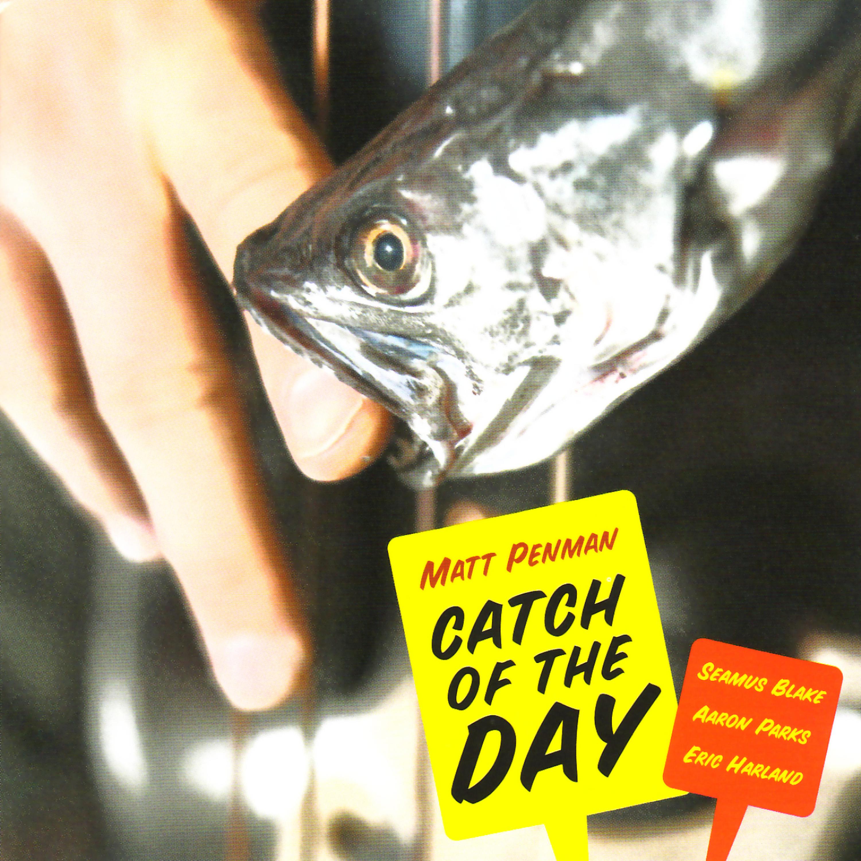 Постер альбома Catch of the Day