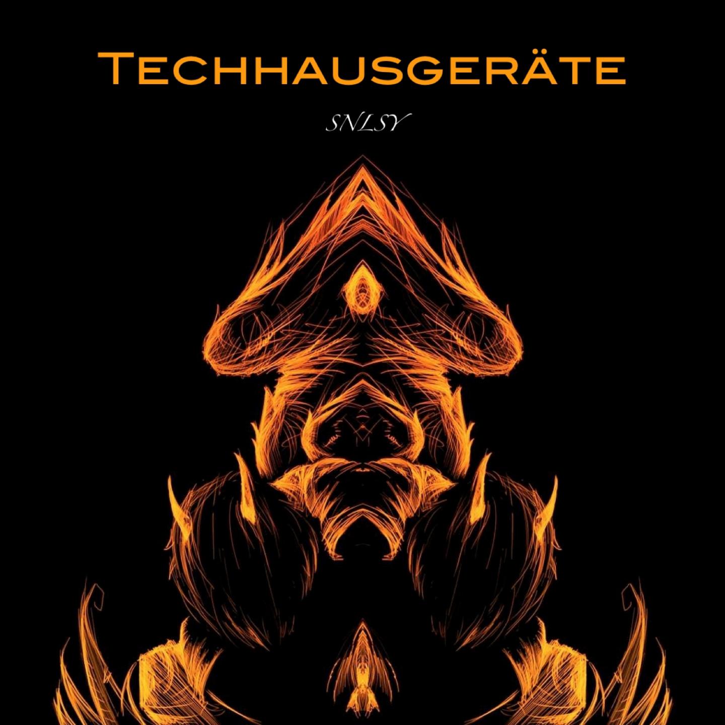 Постер альбома Techhausgeräte
