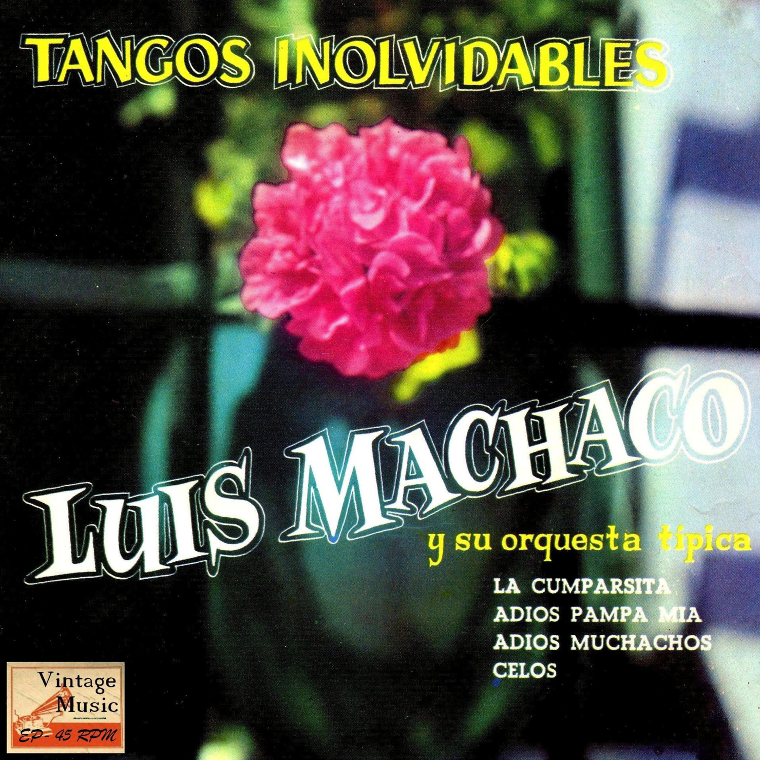 Постер альбома Vintage Tango No. 62 - EP: Tangos Inolvidables