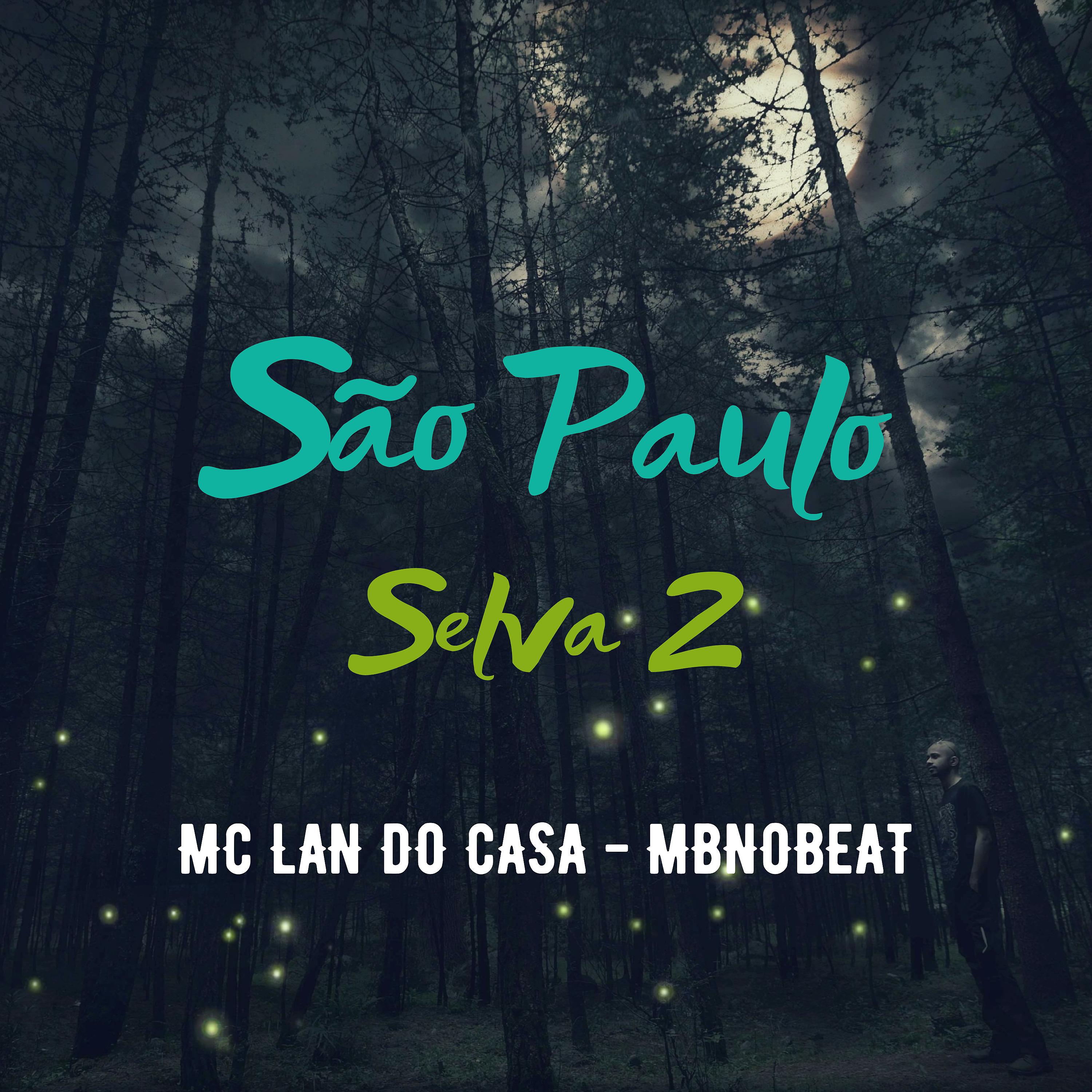 Постер альбома São Paulo Selva 2