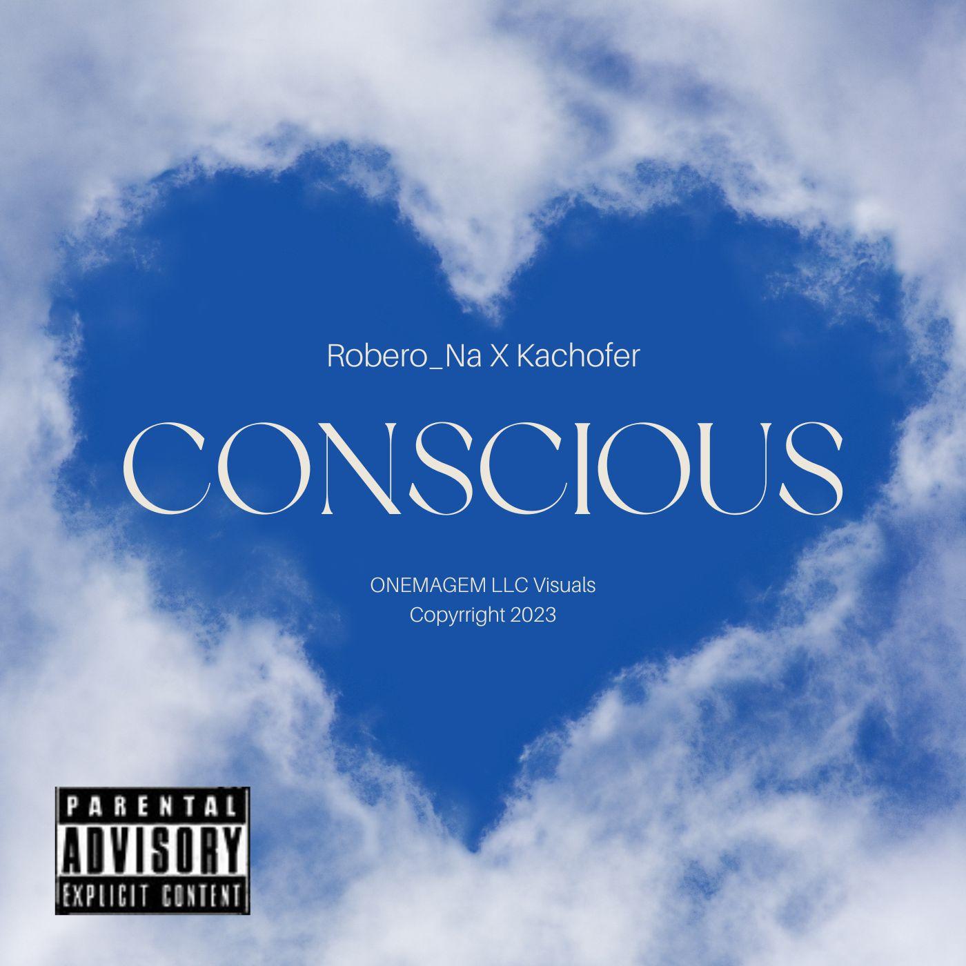 Постер альбома Conscious (feat. Kachofer)