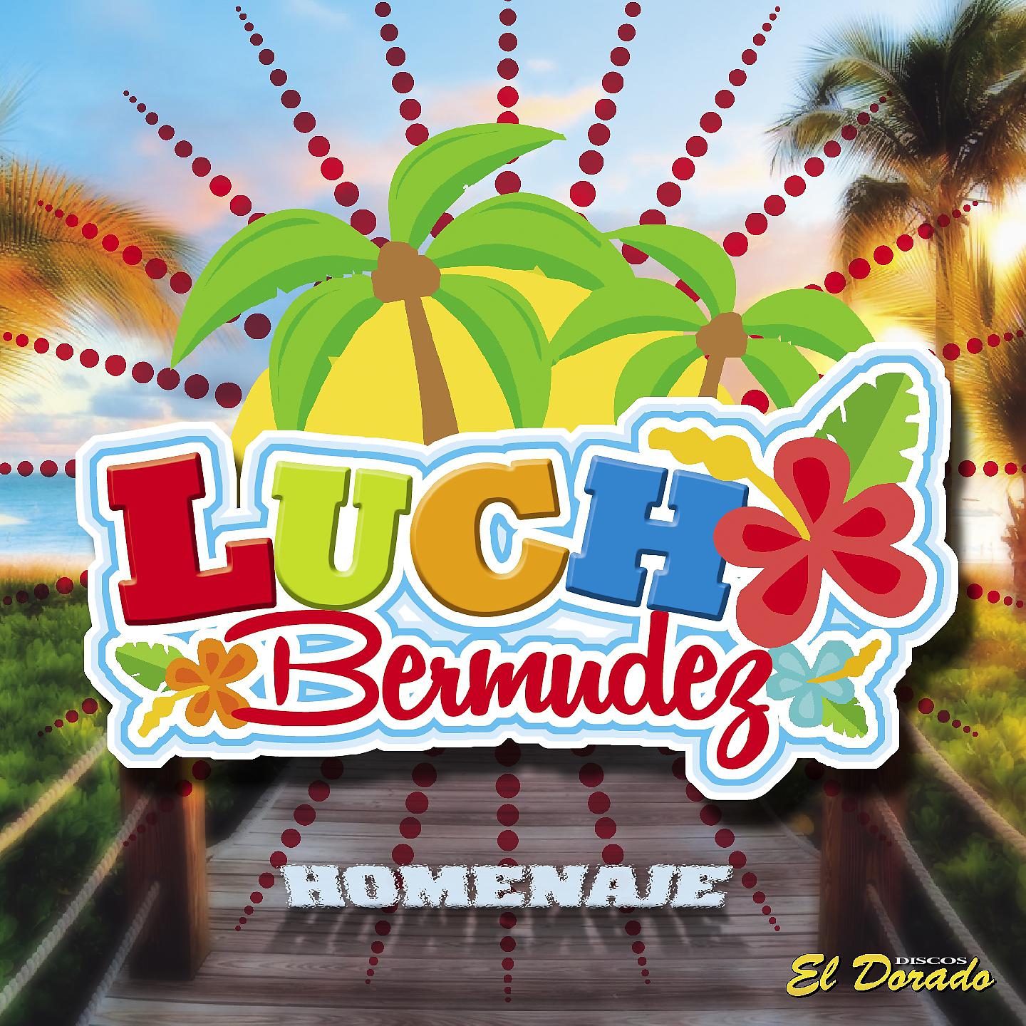 Постер альбома Homenaje a Lucho Bermudez
