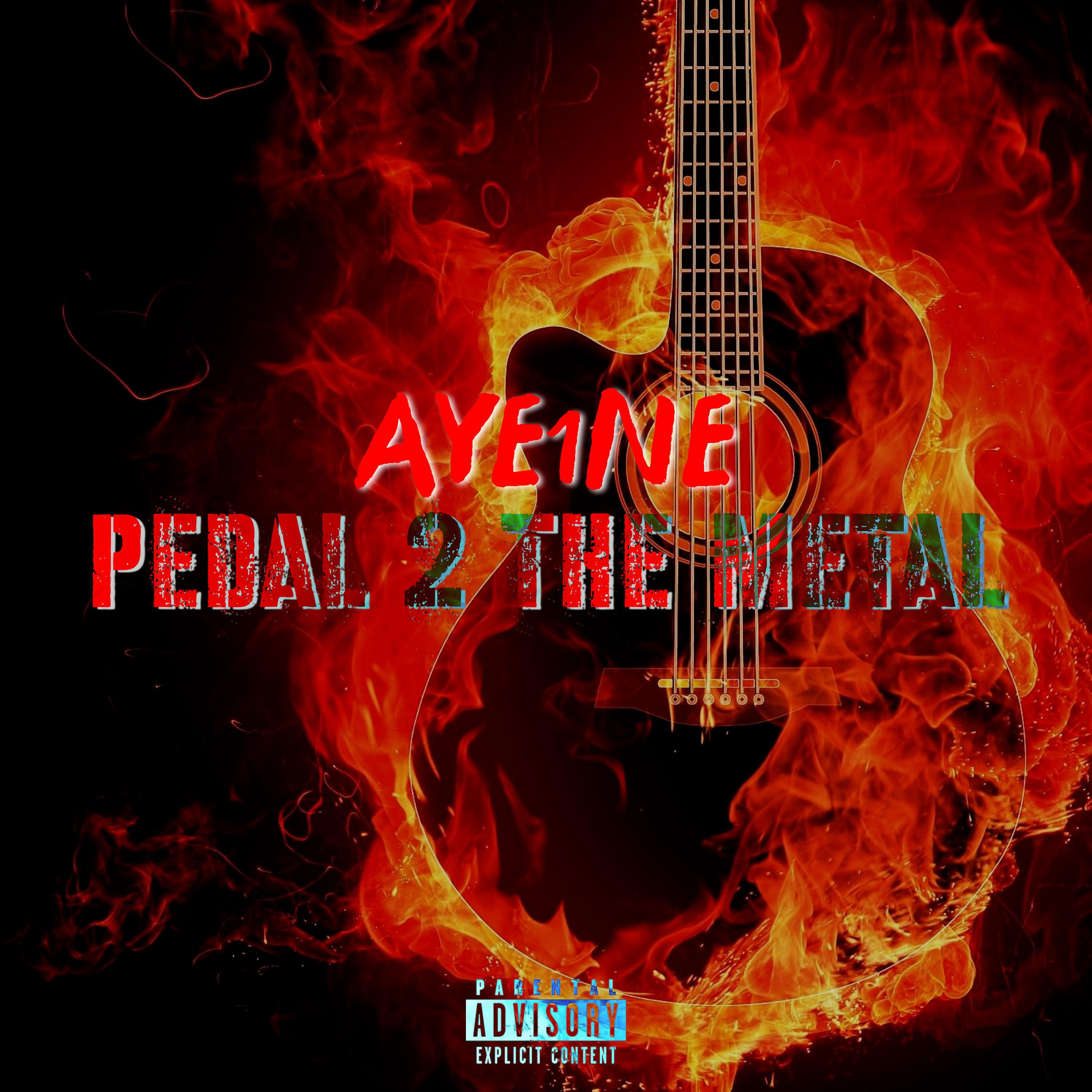 Постер альбома Pedal 2 The Metal