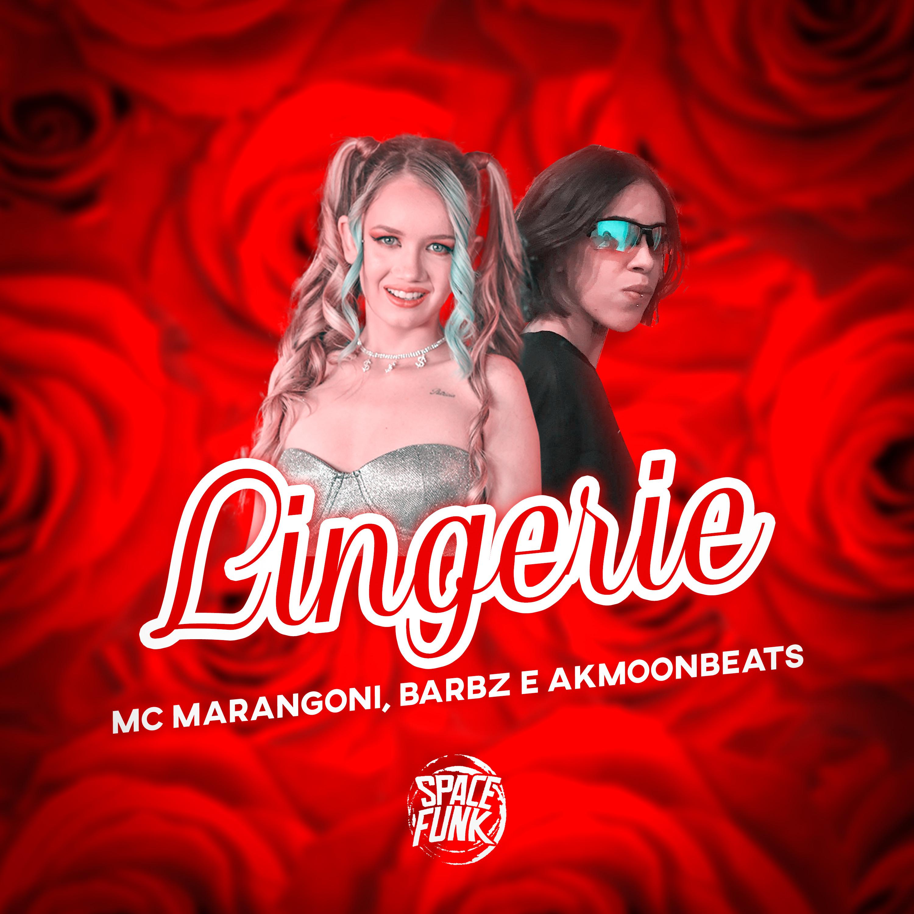Постер альбома Lingerie